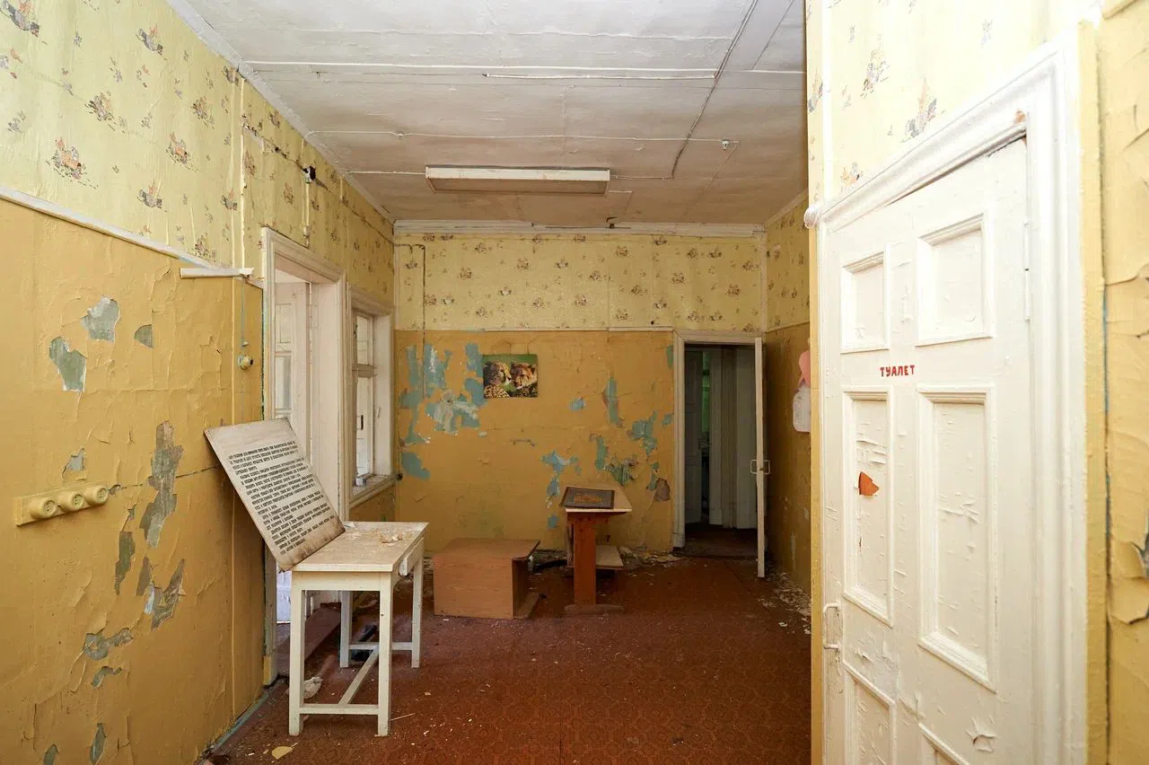 Старые дачи в лесу, фото 10