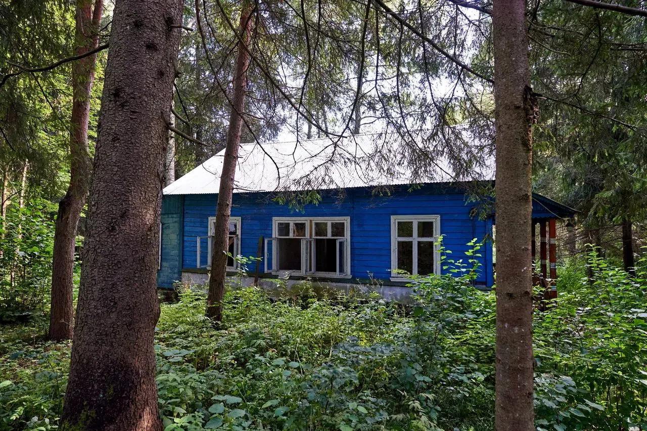 Старые дачи в лесу, фото 8