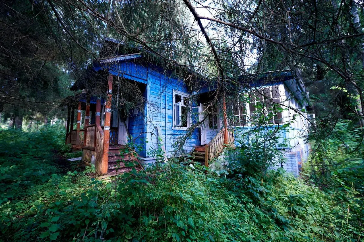 Старые дачи в лесу, фото 13