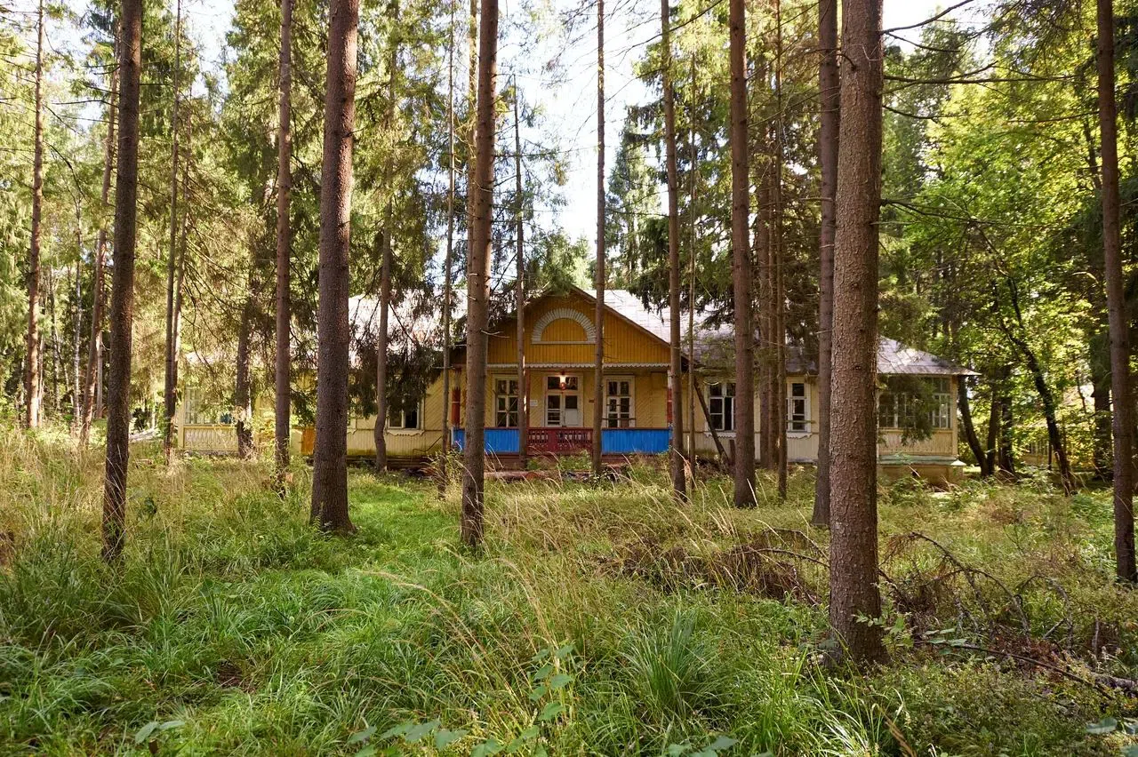 Старые дачи в лесу, фото 7