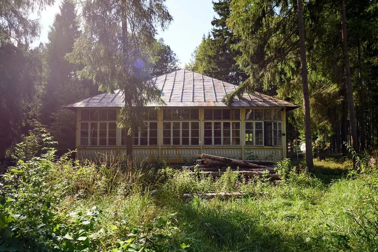 Старые дачи в лесу, фото 5