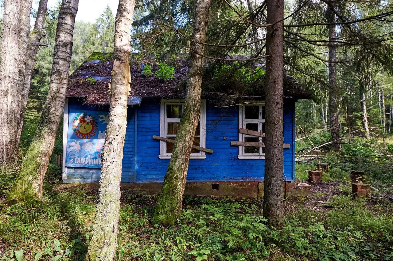 Старые дачи в лесу, фото 9