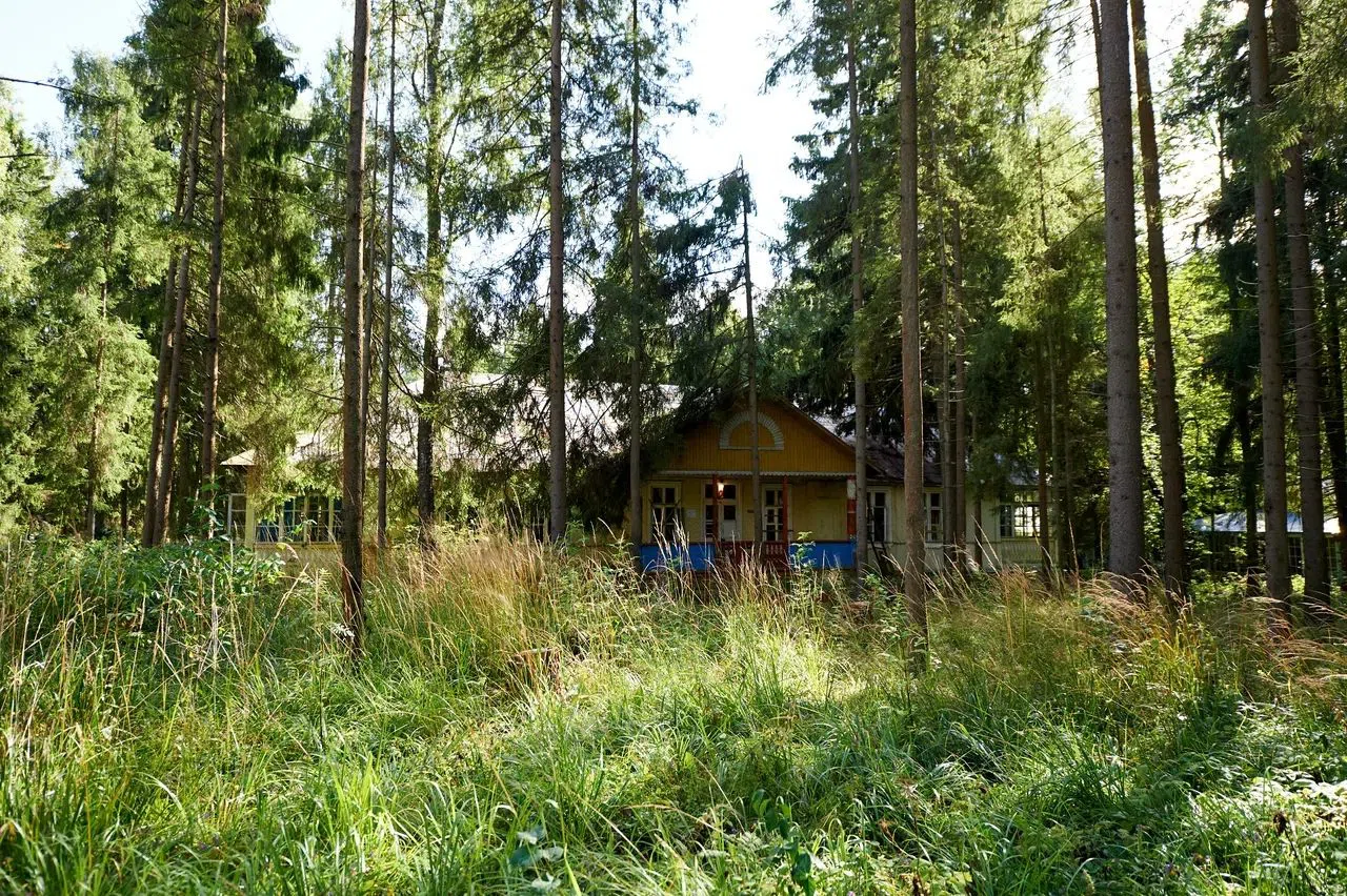 Старые дачи в лесу, фото 4