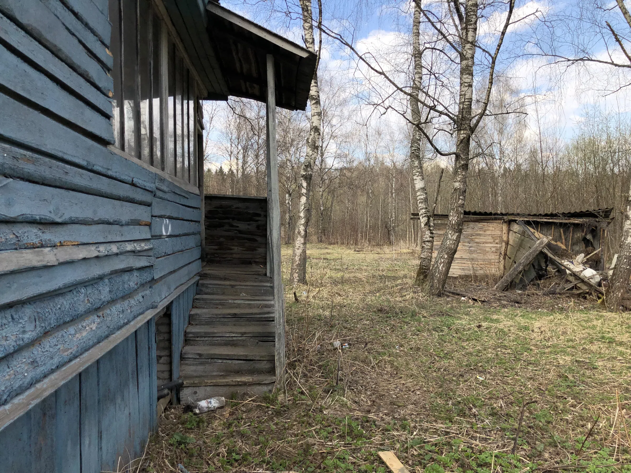 Дача с верандой в ельнике, фото 13