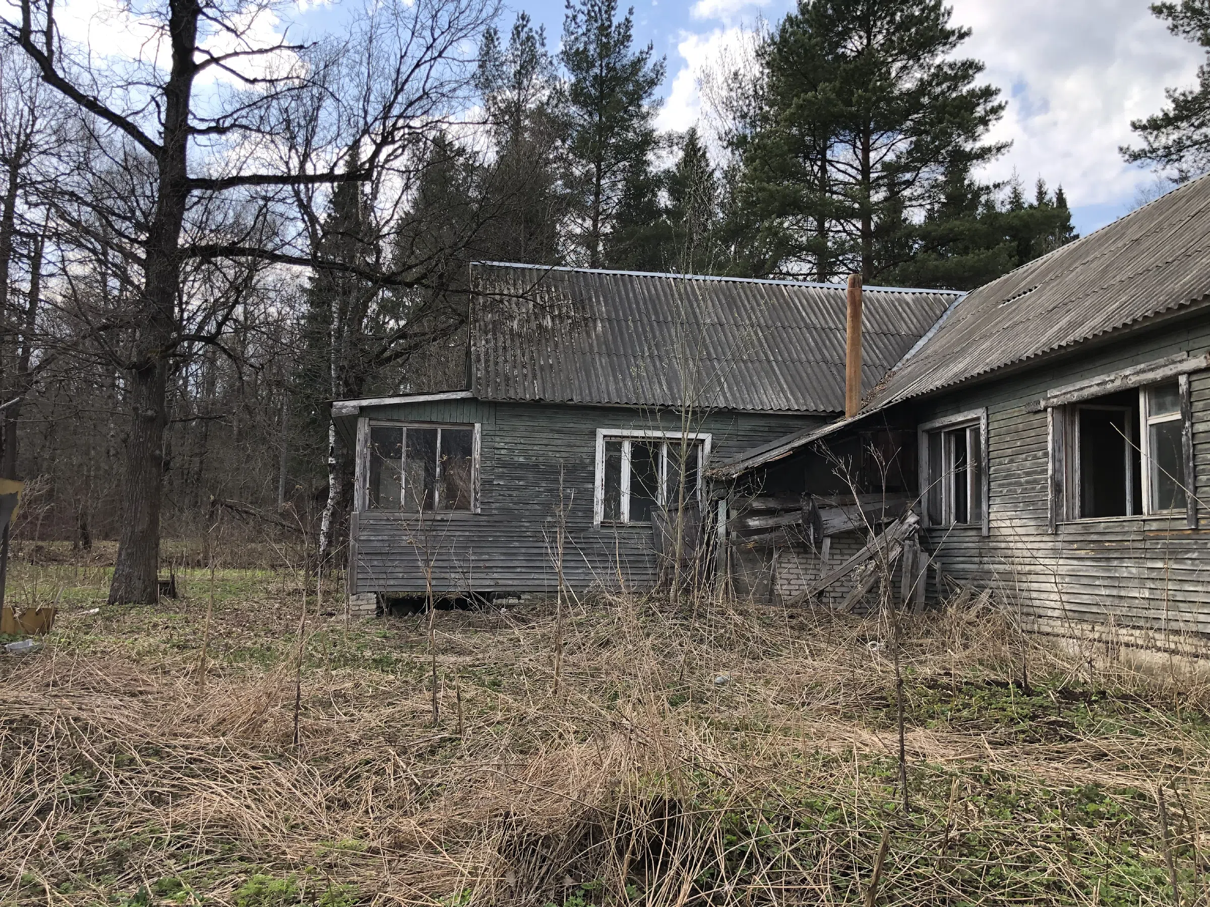 Дача с верандой в ельнике, фото 10