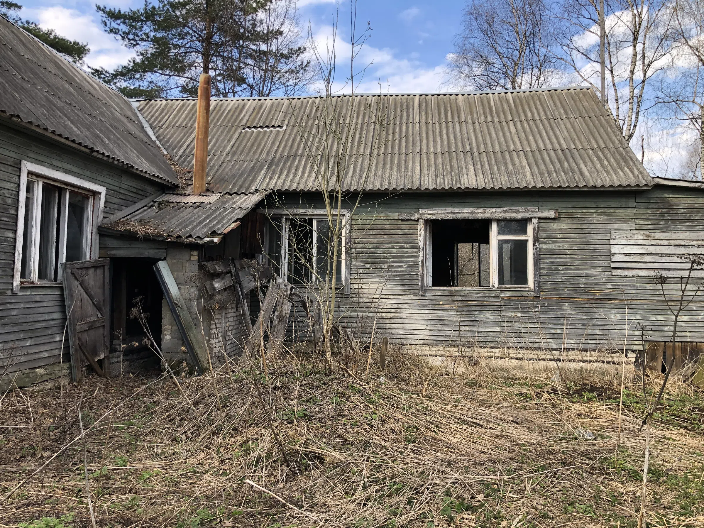 Дача с верандой в ельнике, фото 9