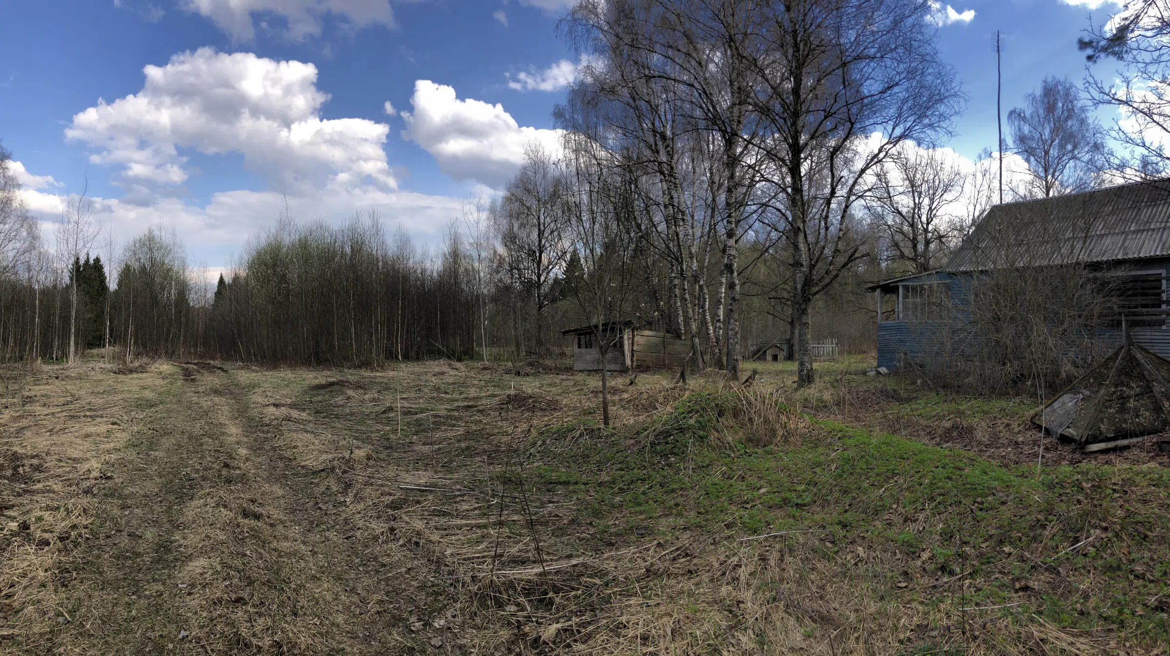 Дача с верандой в ельнике, фото 21