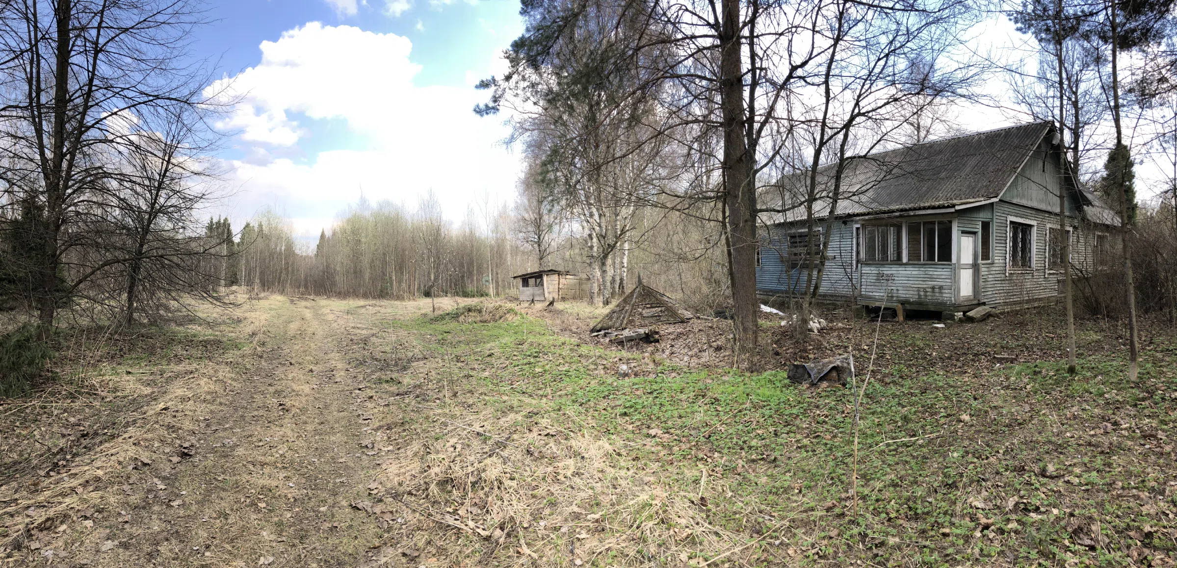 Дача с верандой в ельнике, фото 22