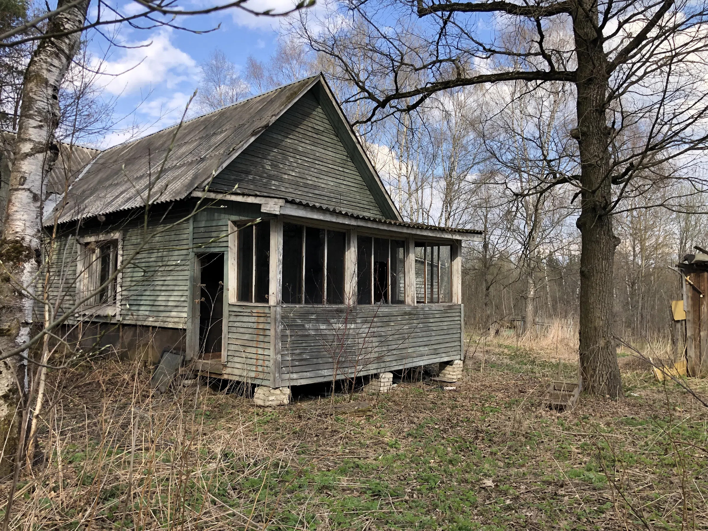 Дача с верандой в ельнике, фото 3