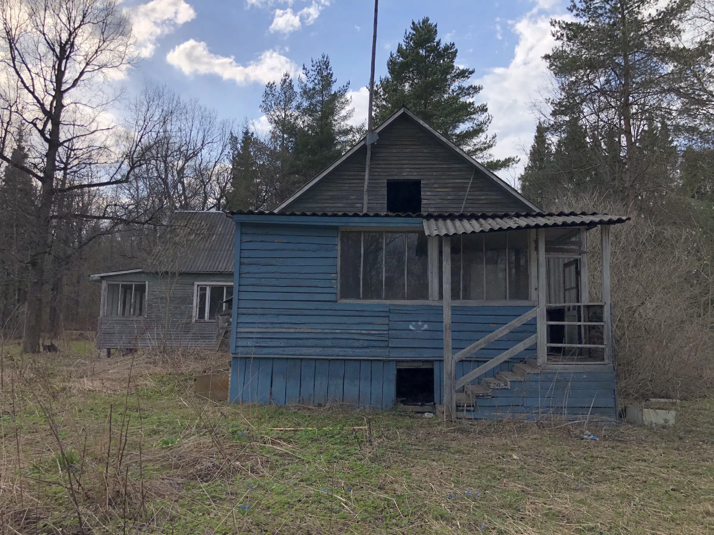 Дача с верандой в ельнике, фото 12