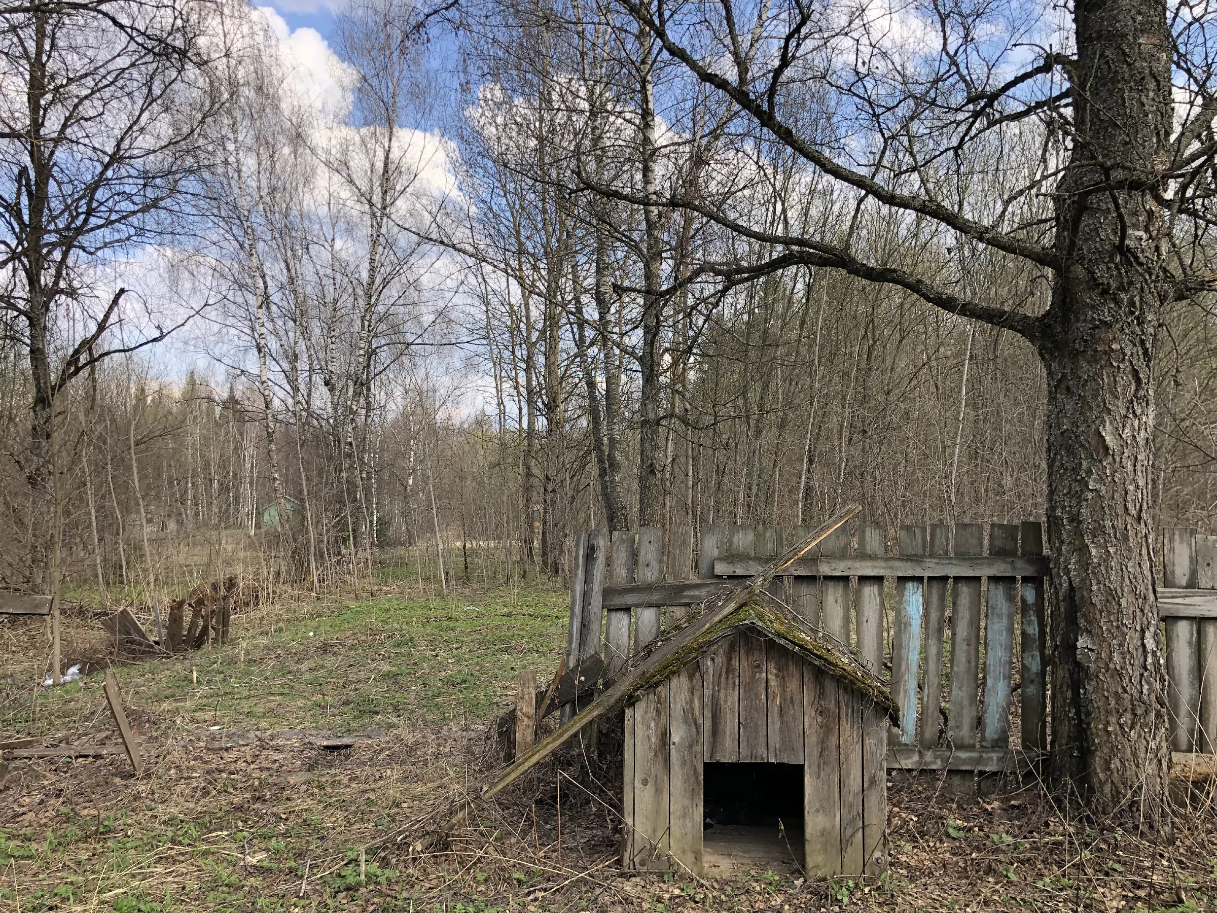 Дача с верандой в ельнике, фото 11