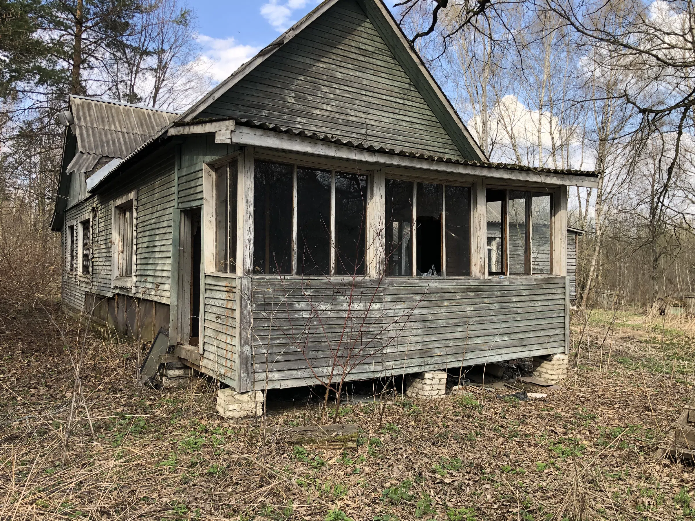 Дача с верандой в ельнике, фото 2