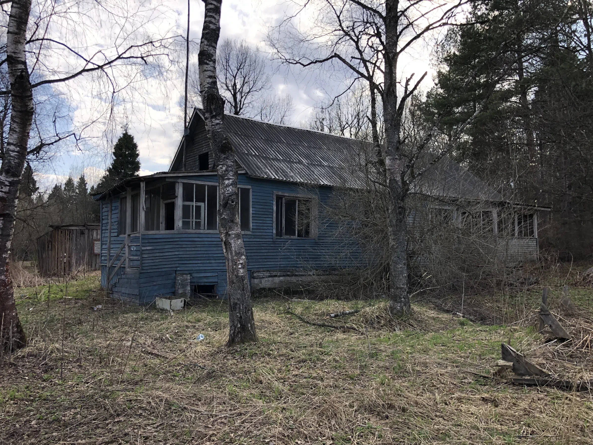 Дача с верандой в ельнике, фото 19