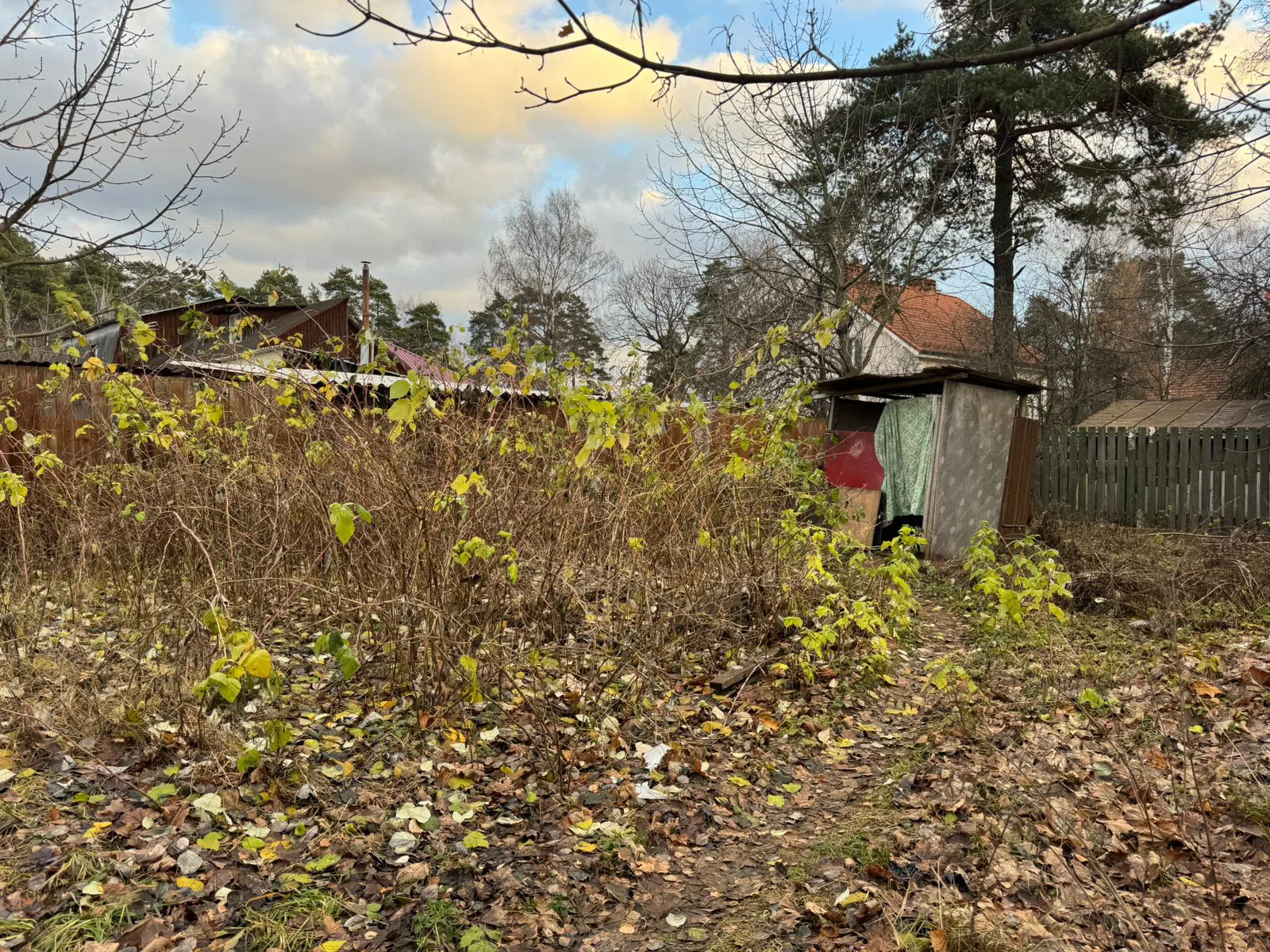 Дача с верандой-аккордеоном, фото 14
