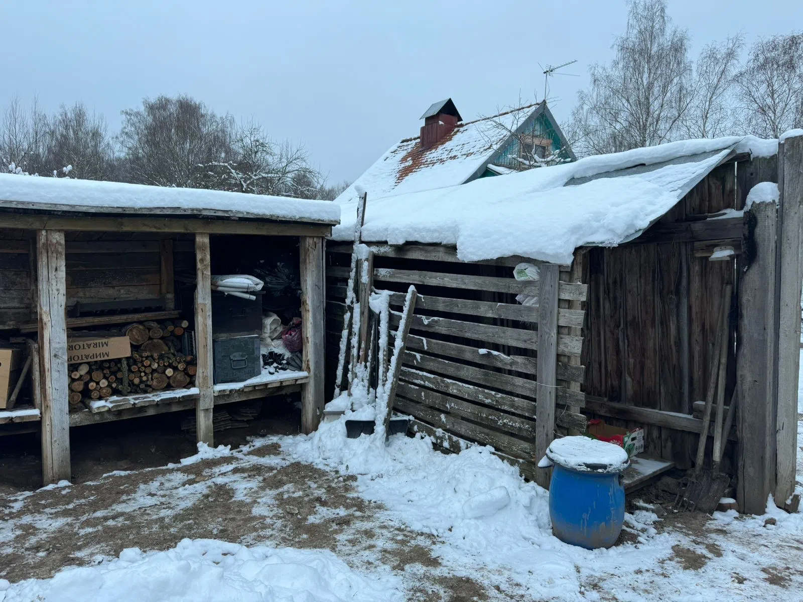 Ретро-гараж в лесу, фото 3