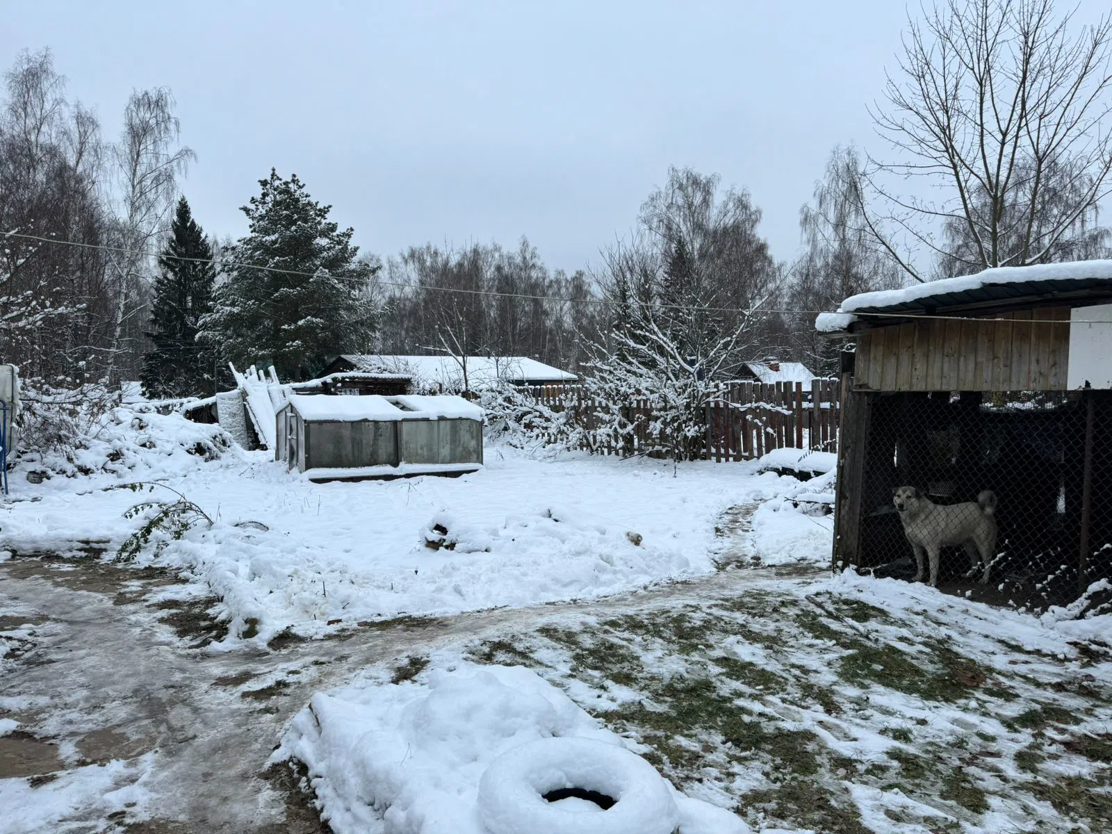 Сгоревшая дача, фото 9