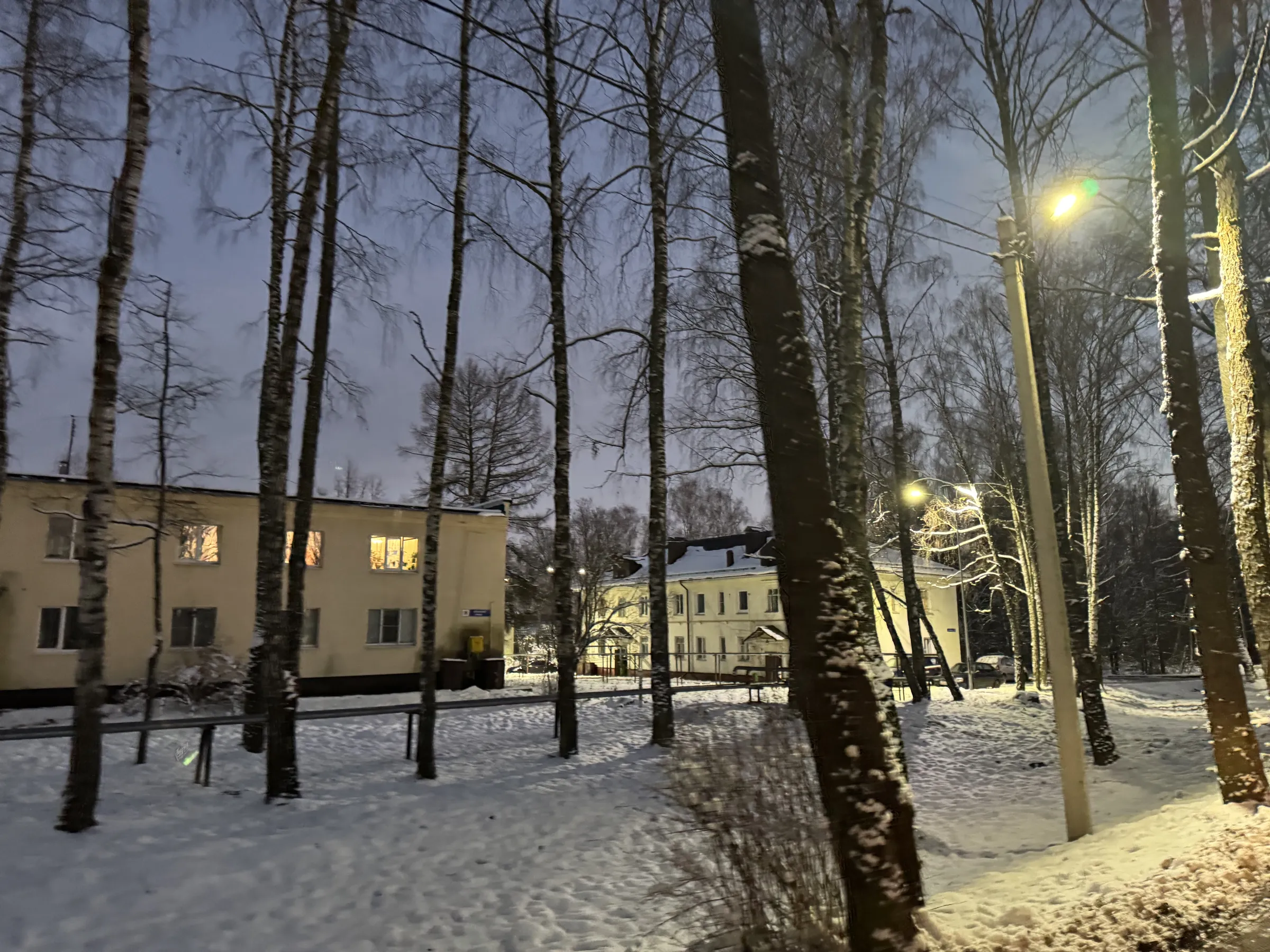 Зимняя деревенская улица, фото 18