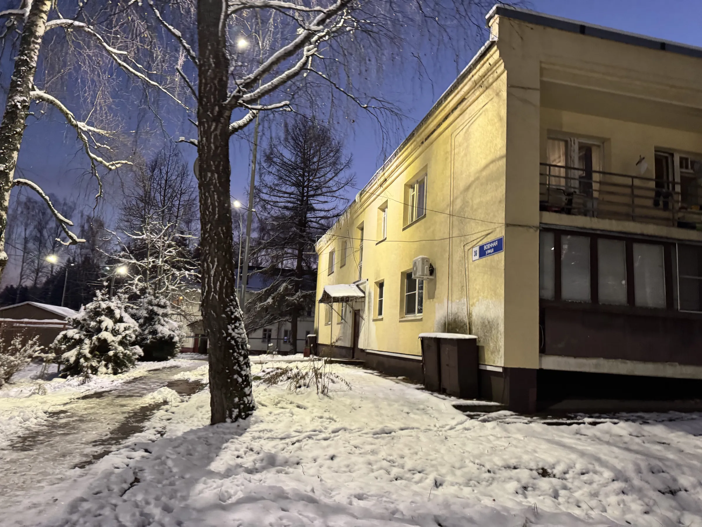 Зимняя деревенская улица, фото 13