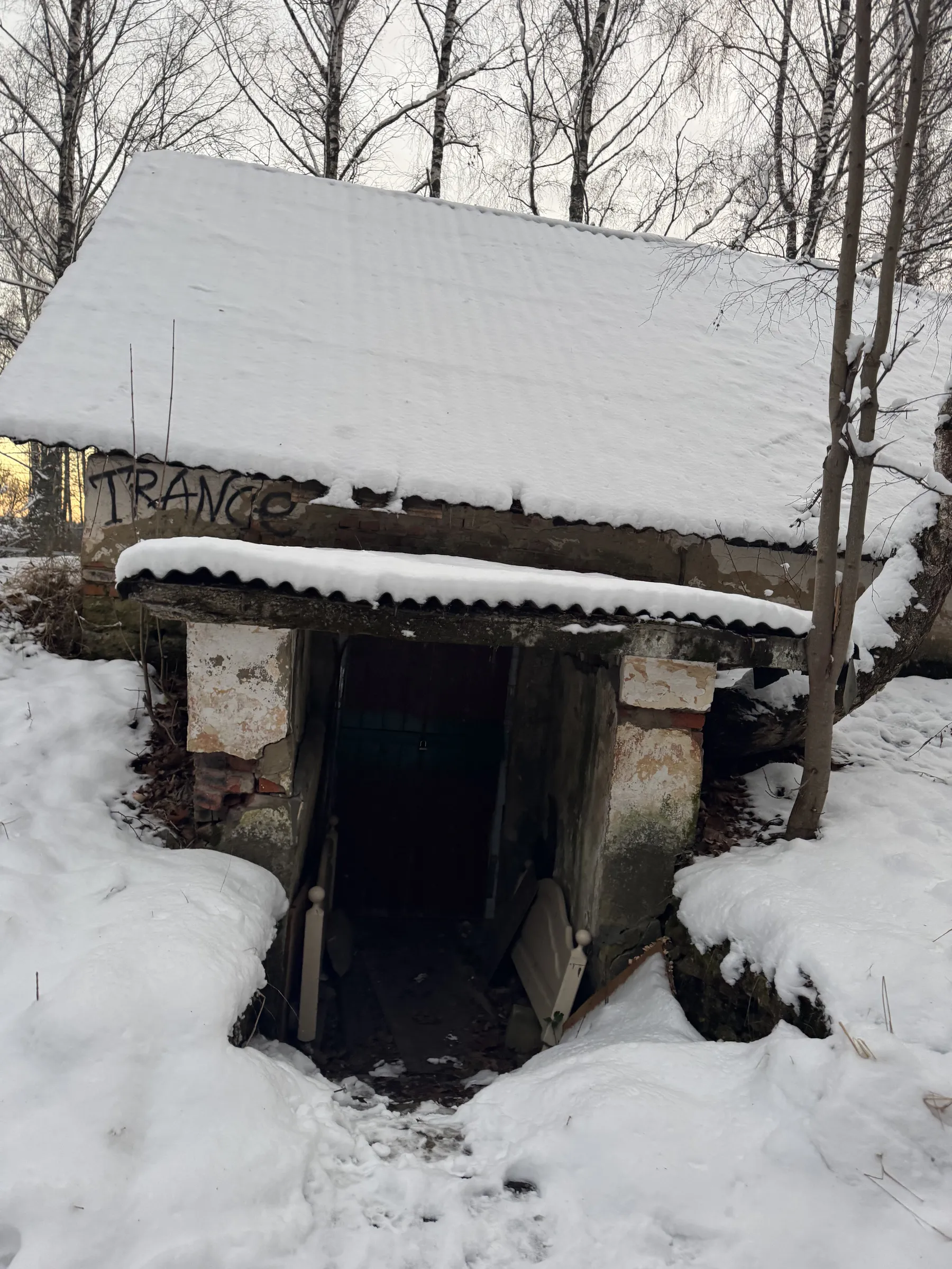 Заброшенный погреб, фото 4