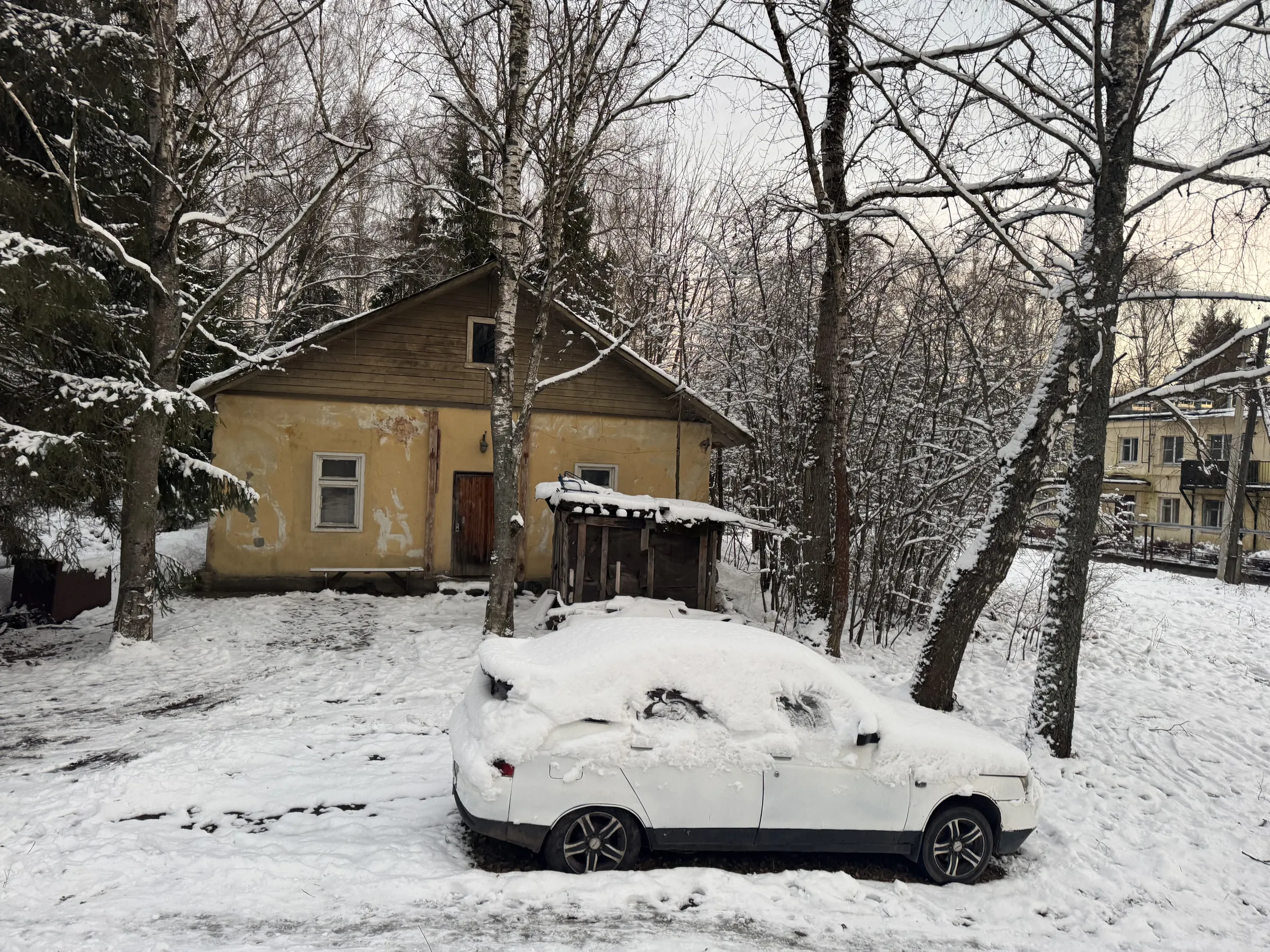 Заброшенный погреб, фото 21