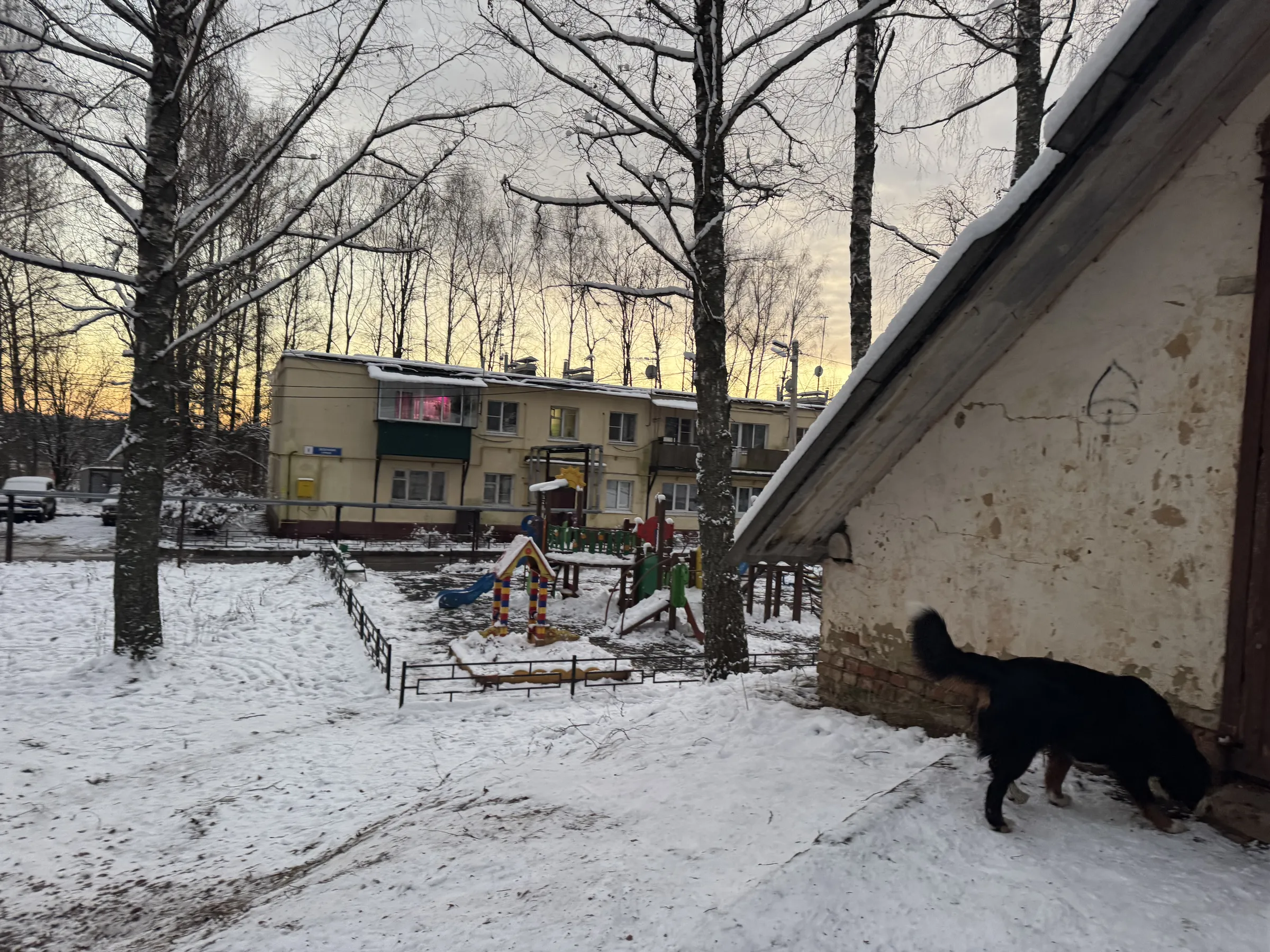 Заброшенный погреб, фото 22
