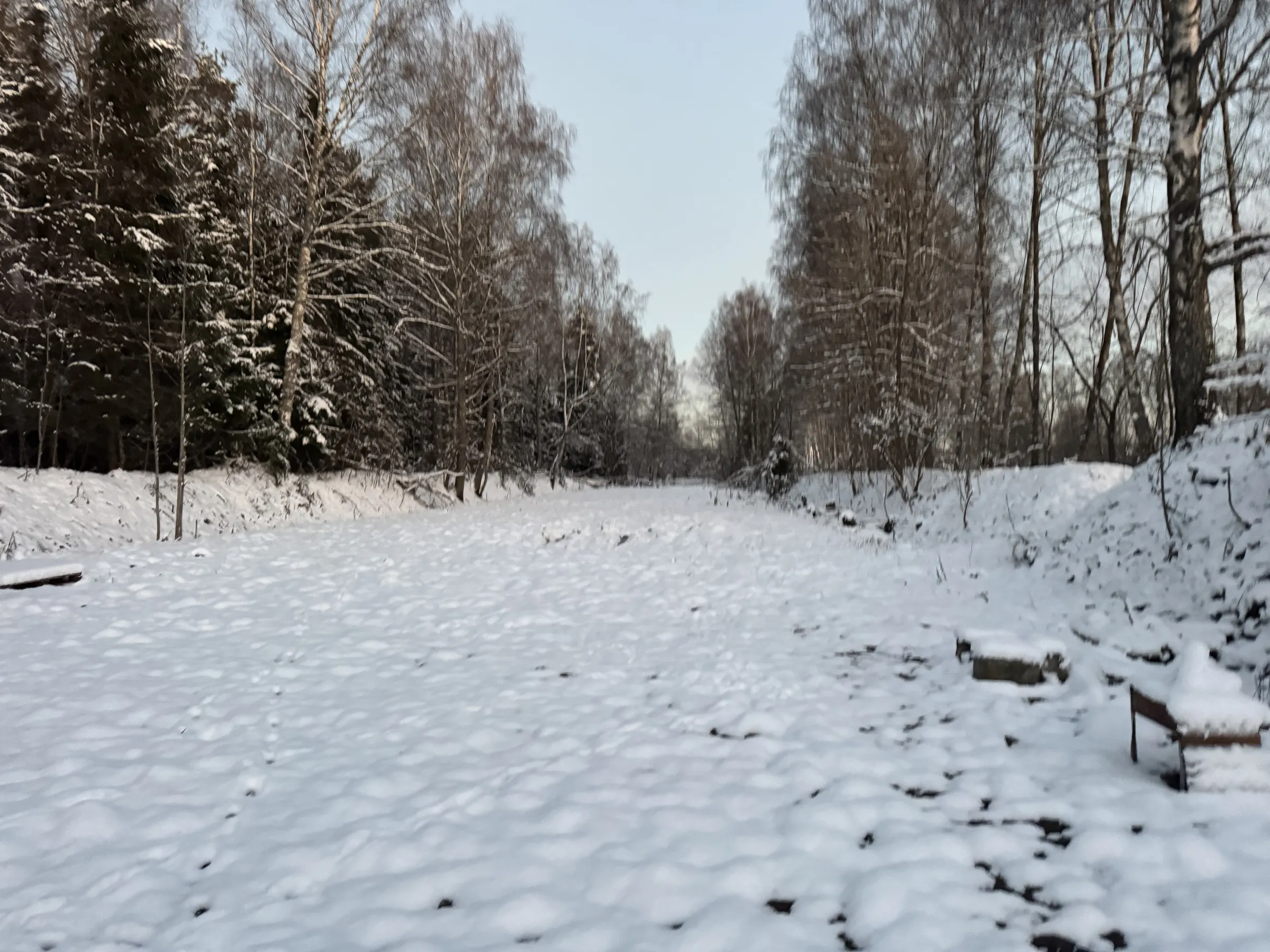 Зимнее лесное стрельбище, фото 3