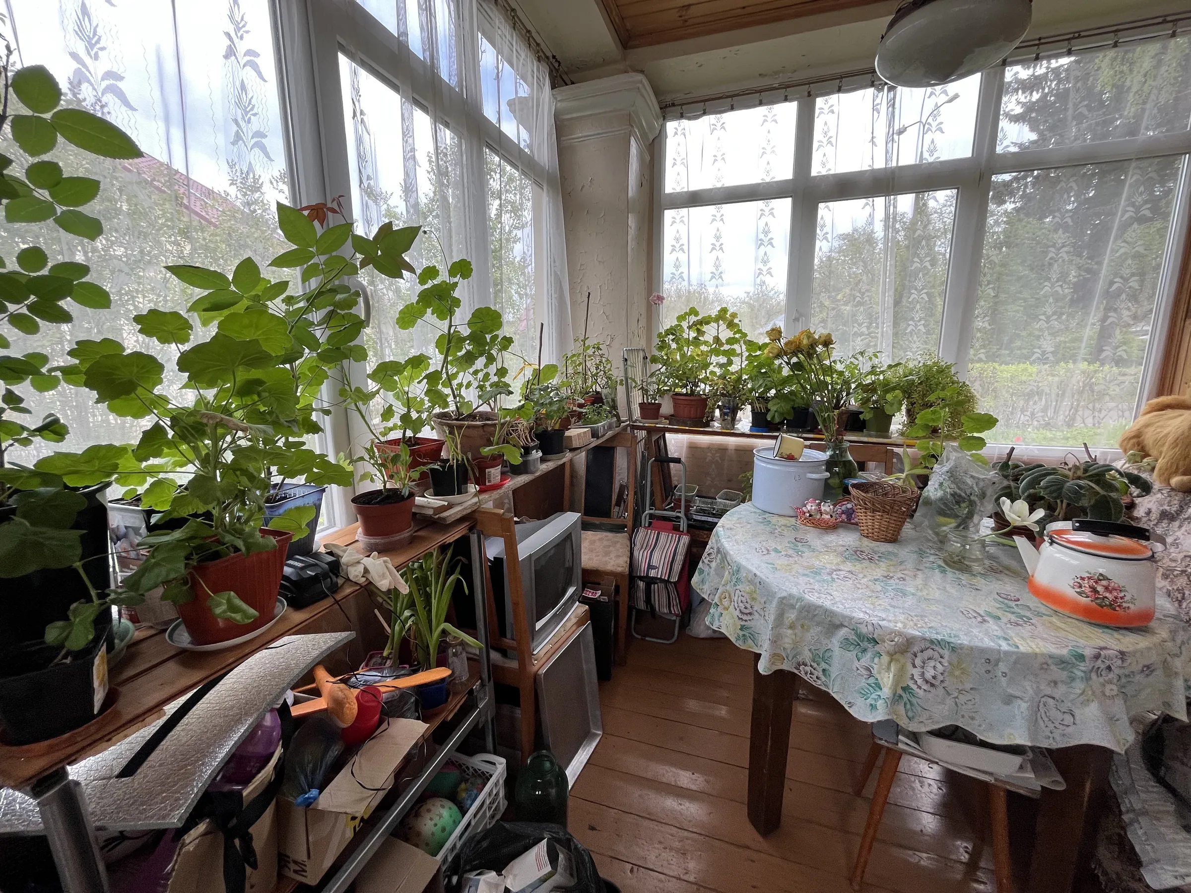 Дача с верандой и зеленью, фото 14