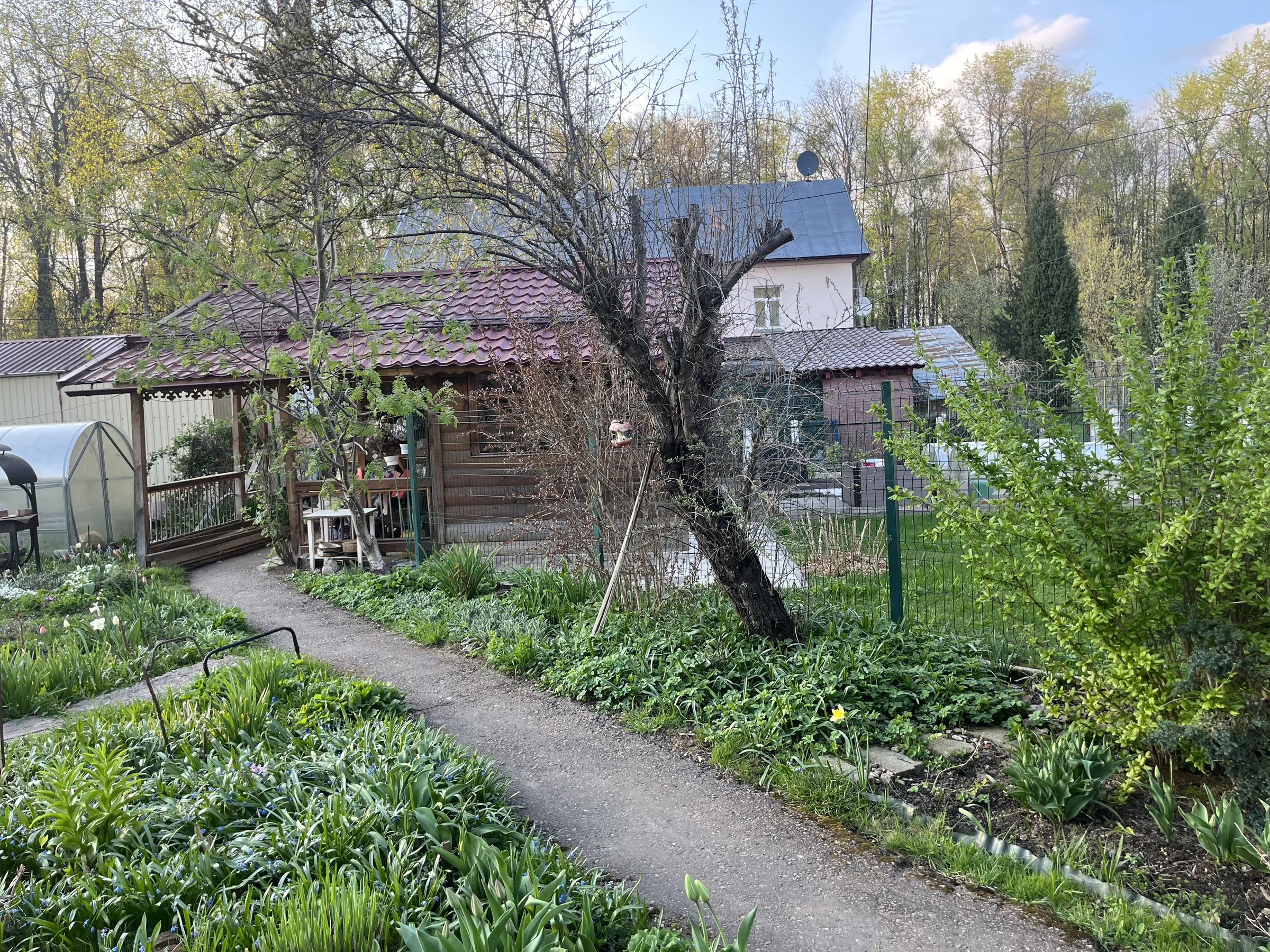 Дачный участок с домиками, фото 15