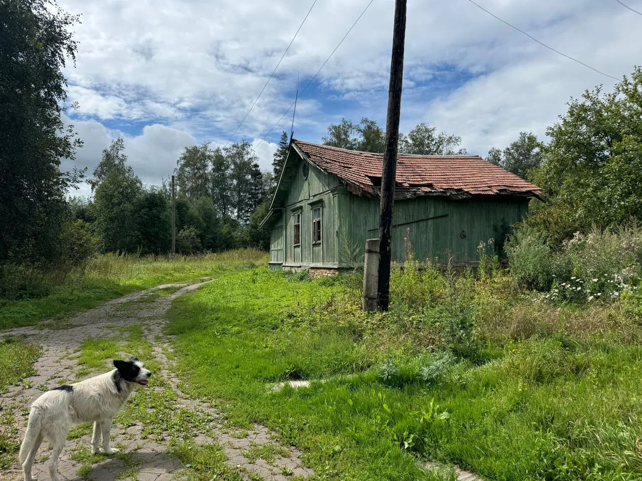 Дача с верандой-ромбами, фото 14