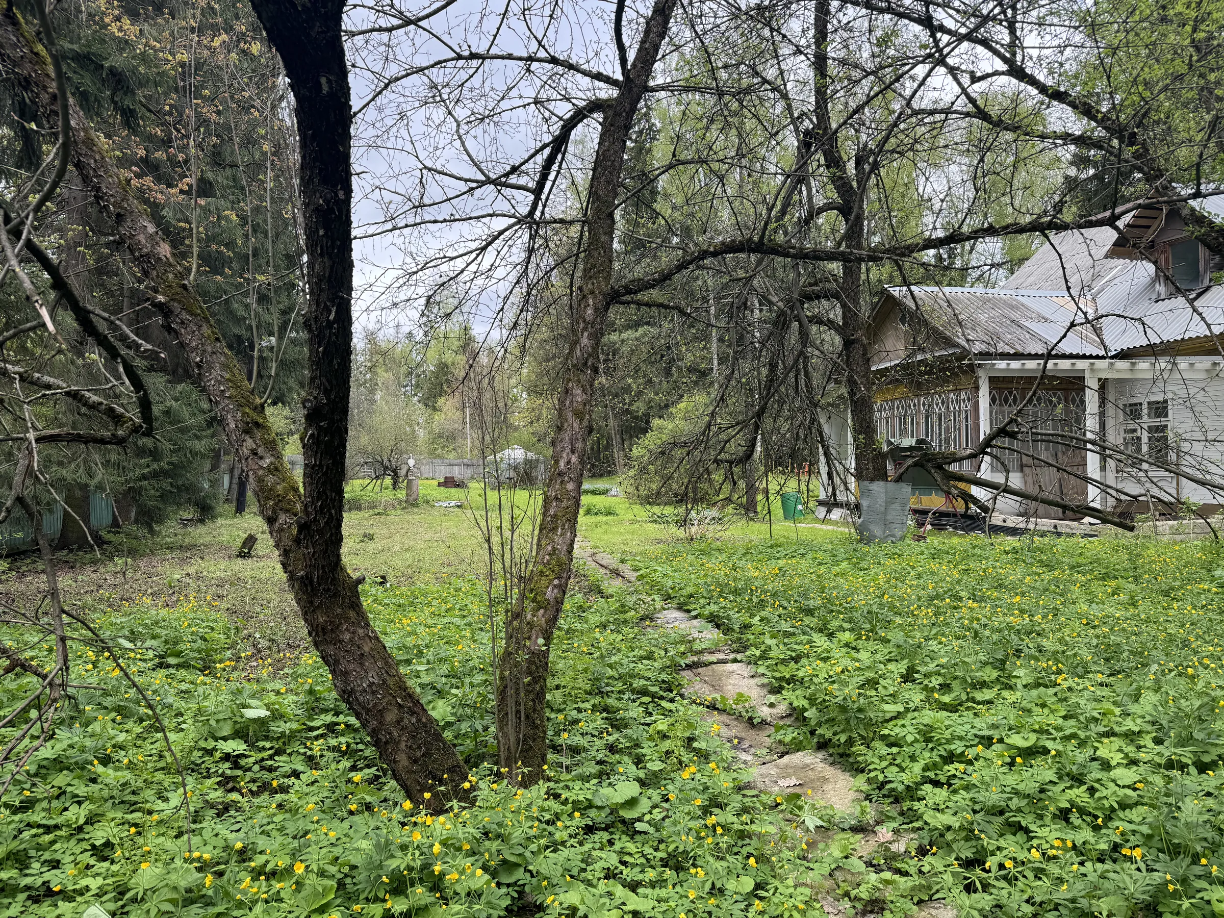 Дача с зелёным забором, фото 13