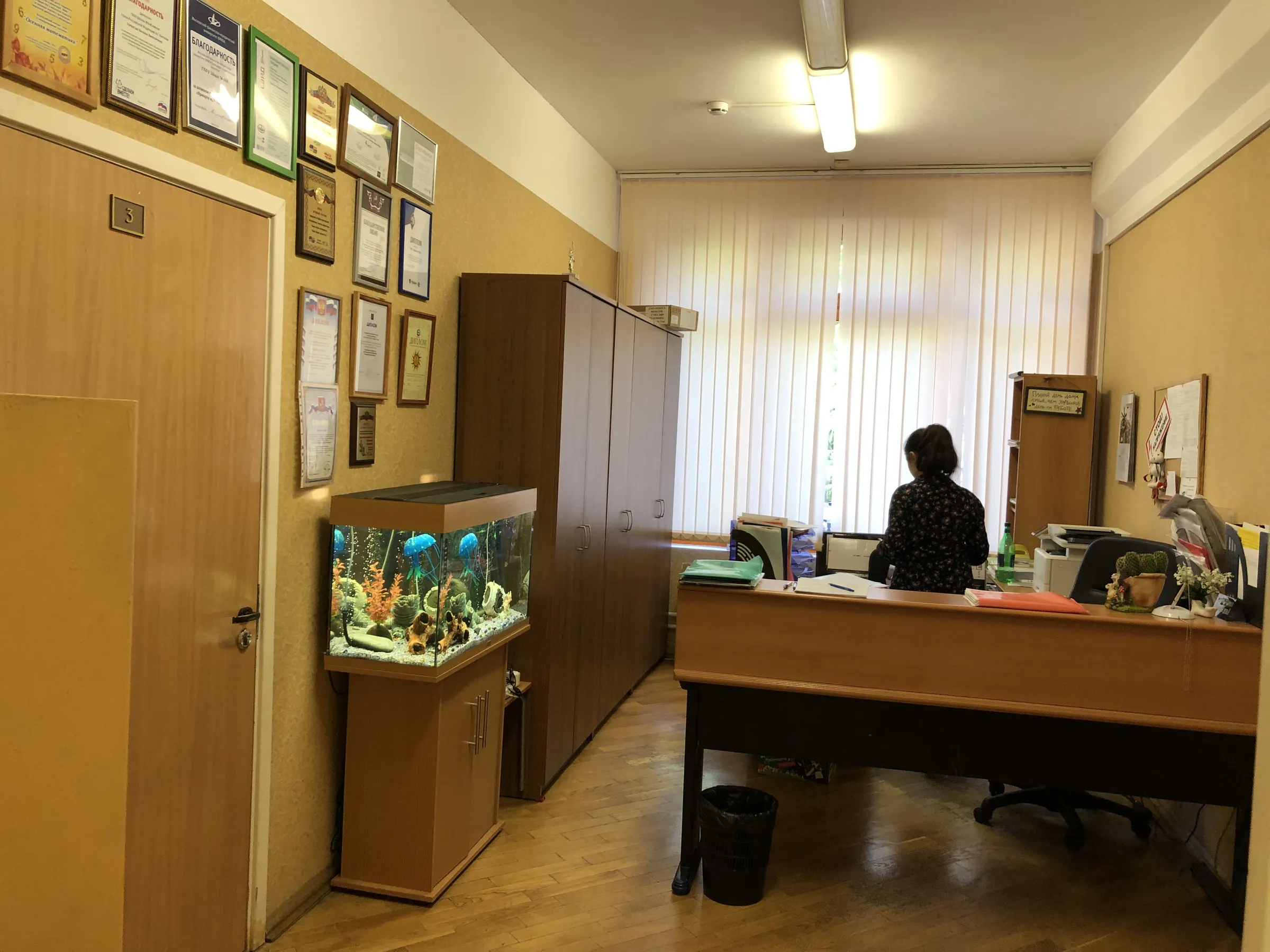 Школа с мозаичным холлом, фото 12