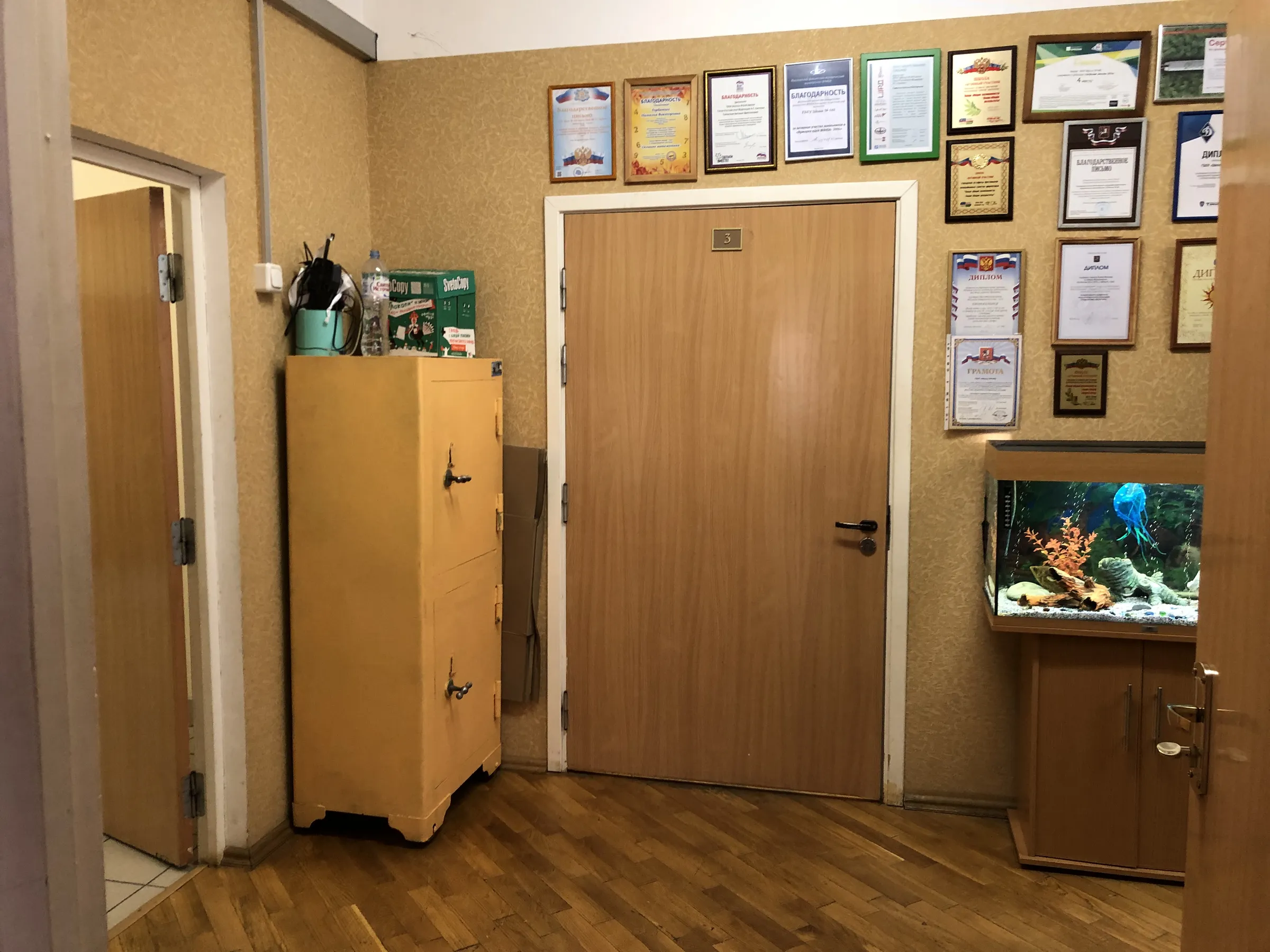 Школа с мозаичным холлом, фото 19