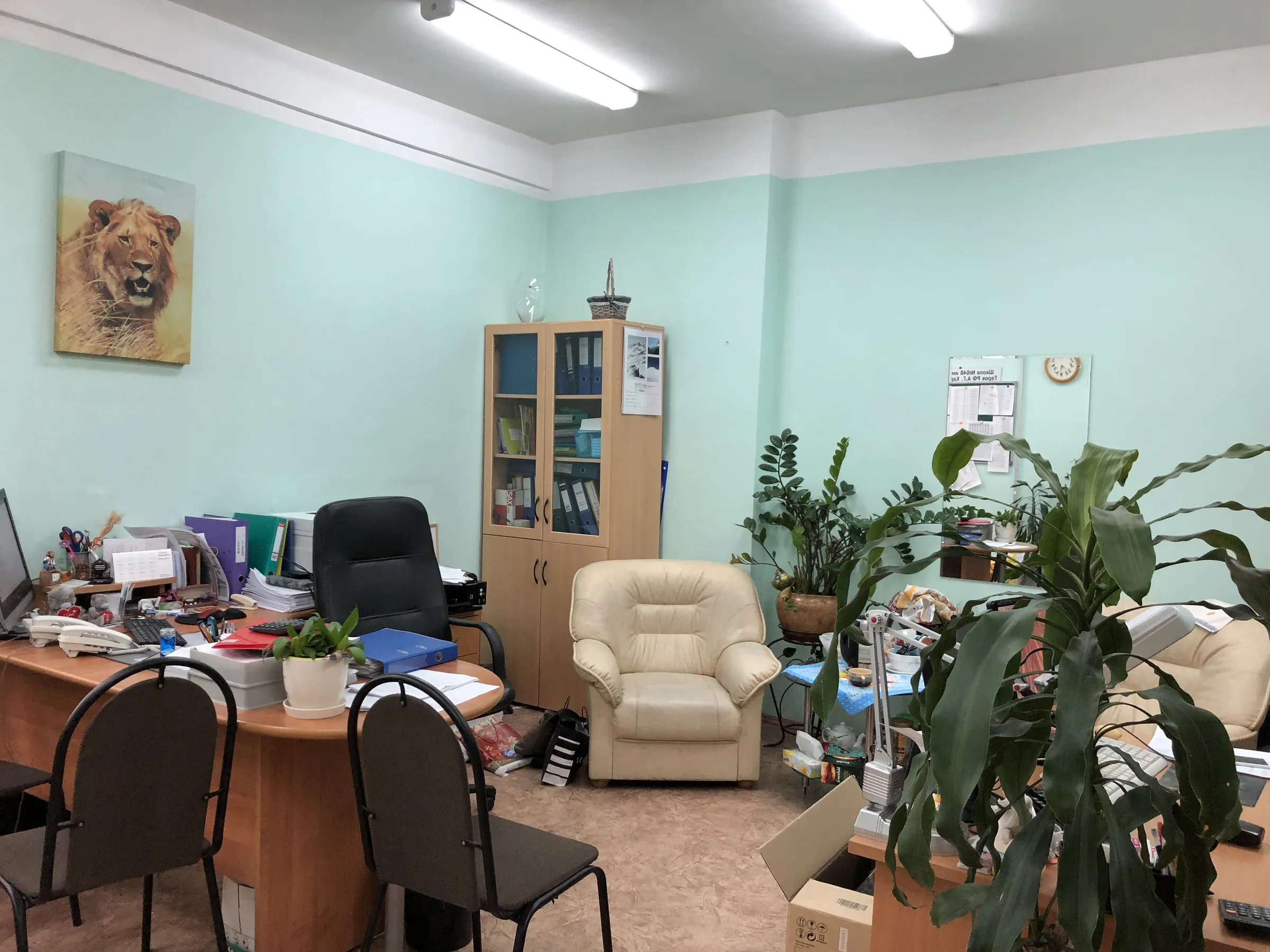 Школа с мозаичным холлом, фото 11