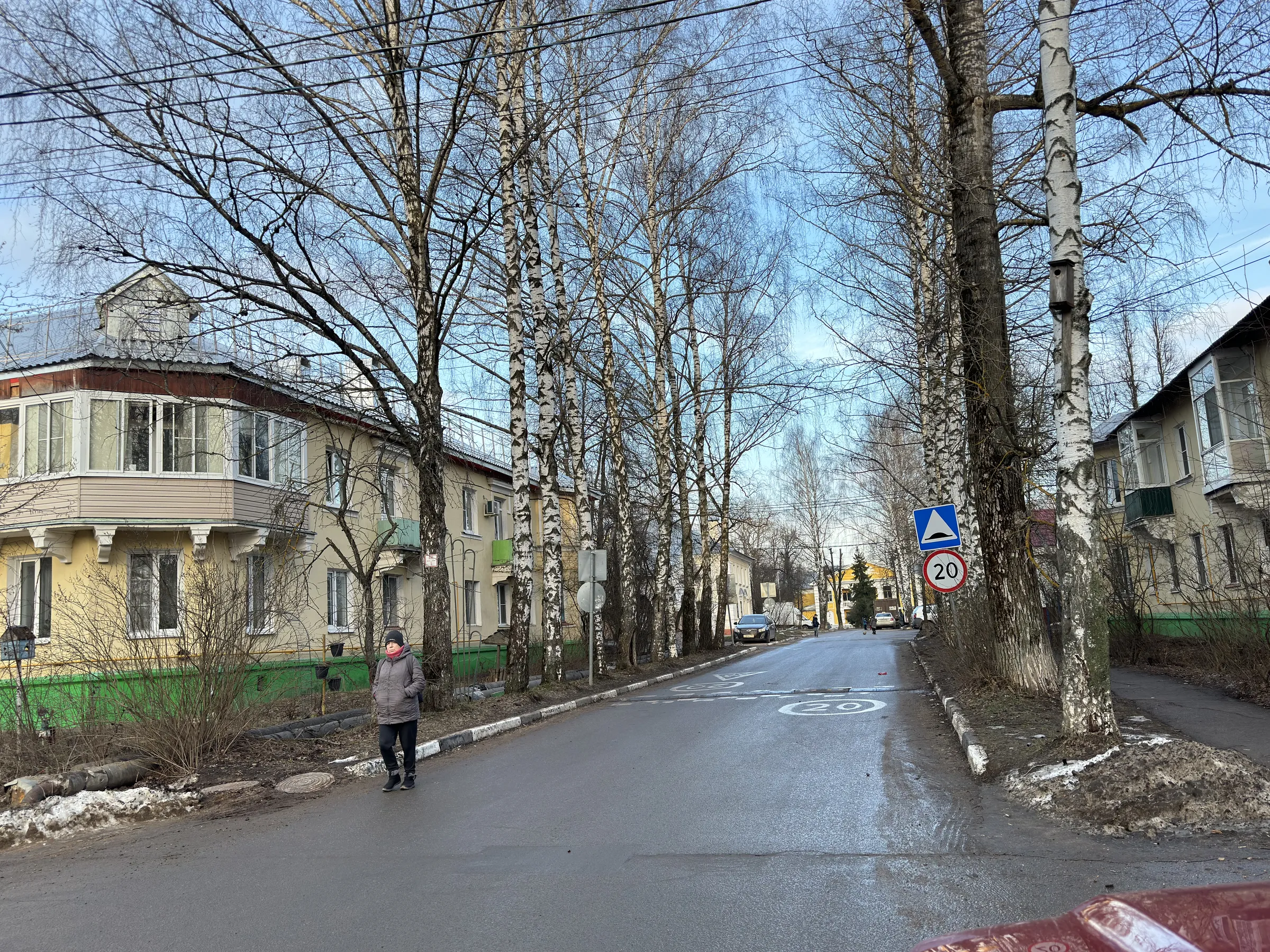 Желтая школа с эркером, фото 2