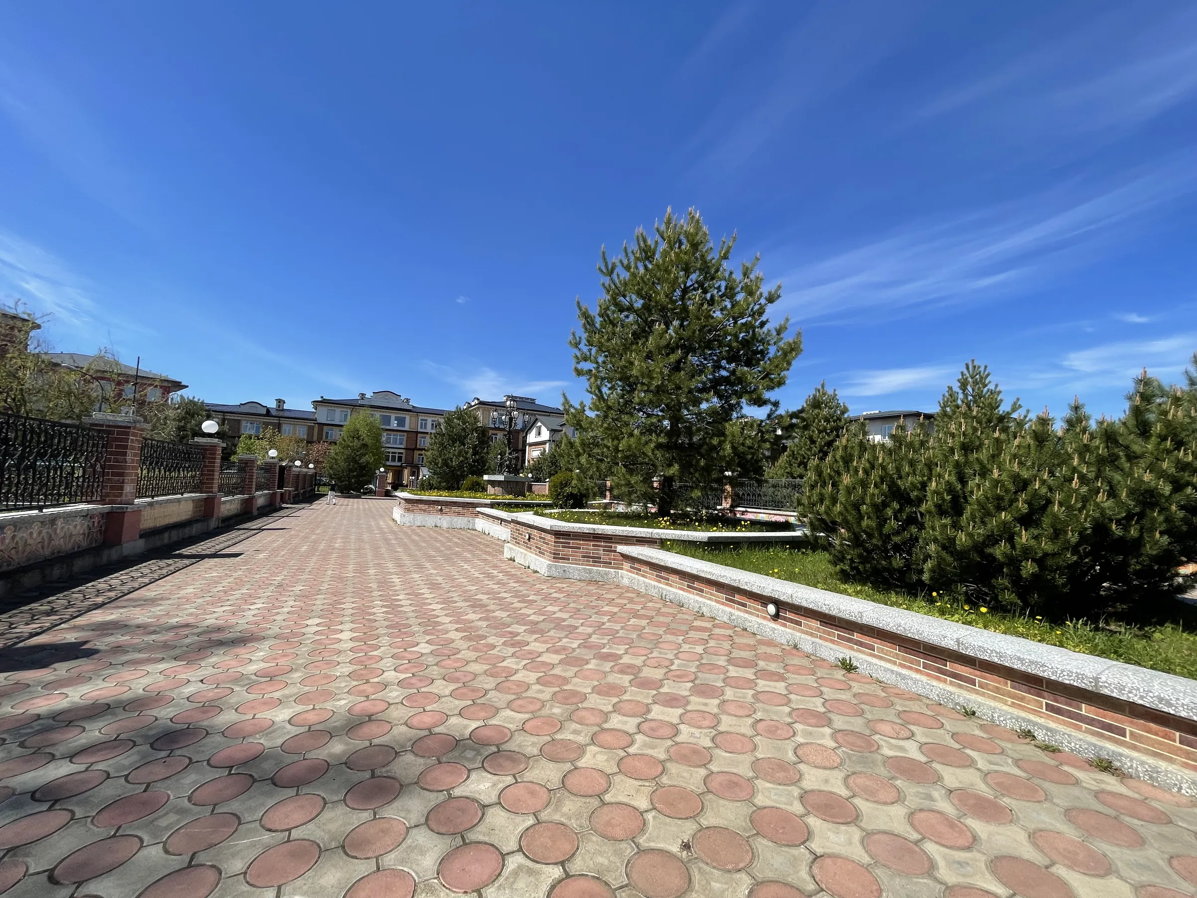 Школа у сосен, фото 6