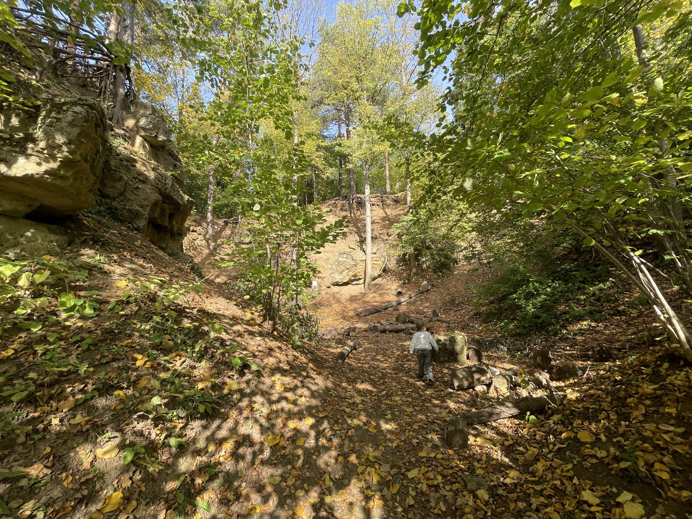 Лес у озера со скалами, фото 17