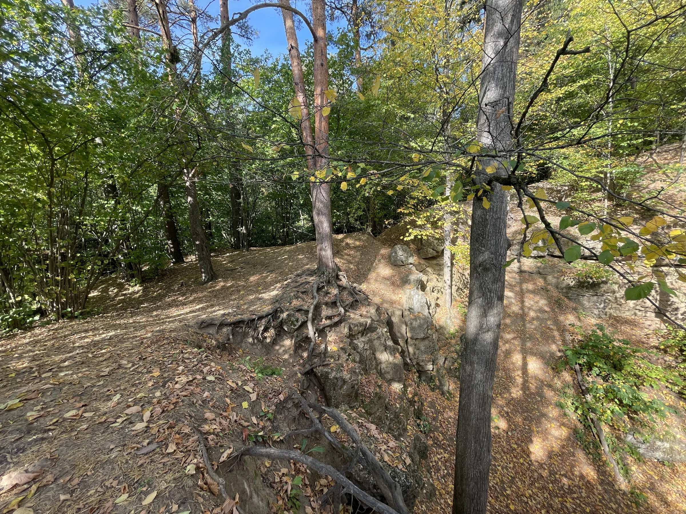 Лес у озера со скалами, фото 14