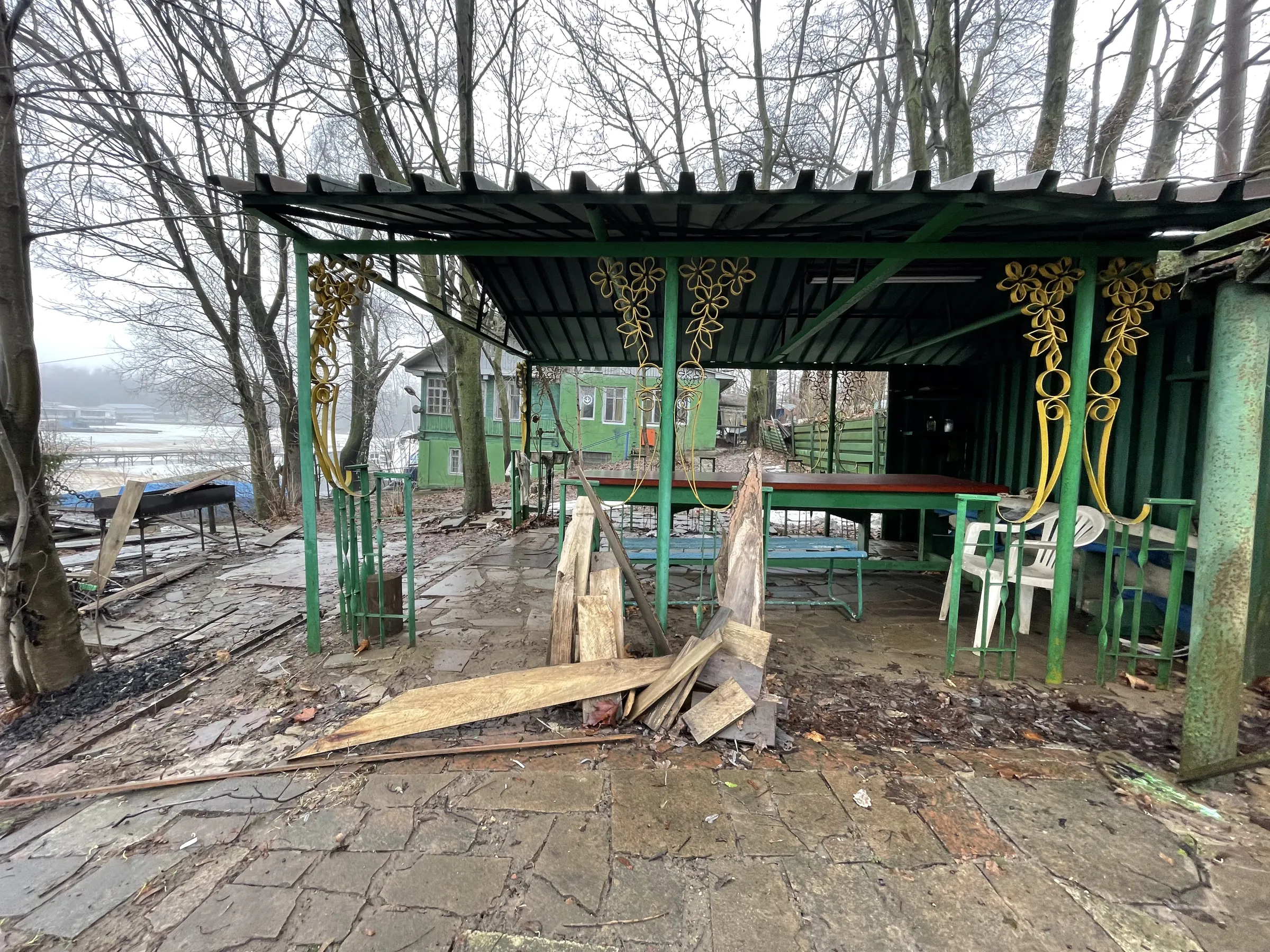 Дачи у воды в лесу, фото 4