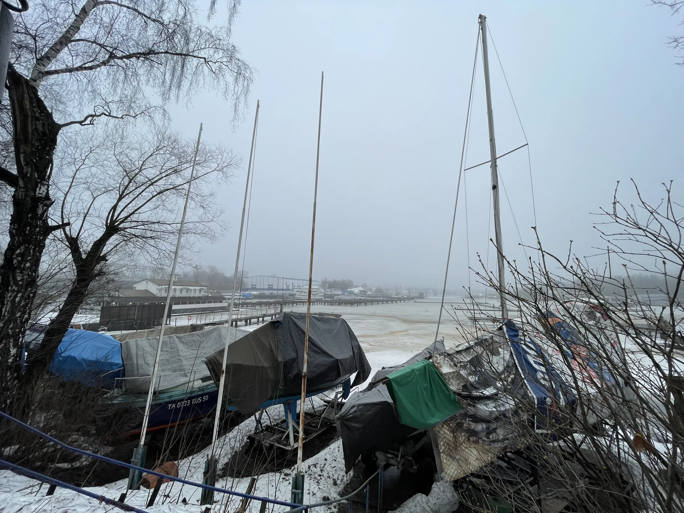 Дачи у воды в лесу, фото 13