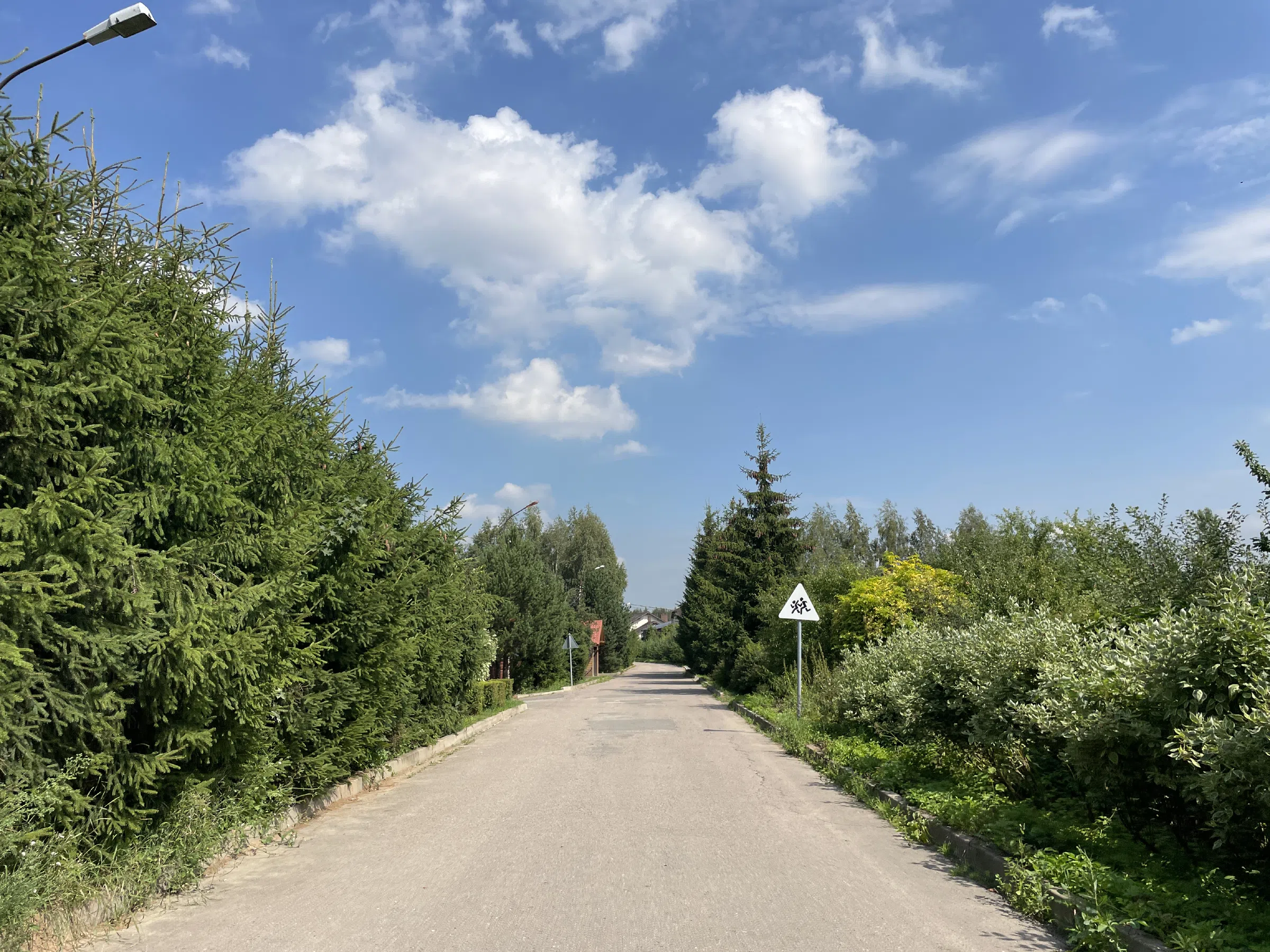 Дачная дорога, фото 5