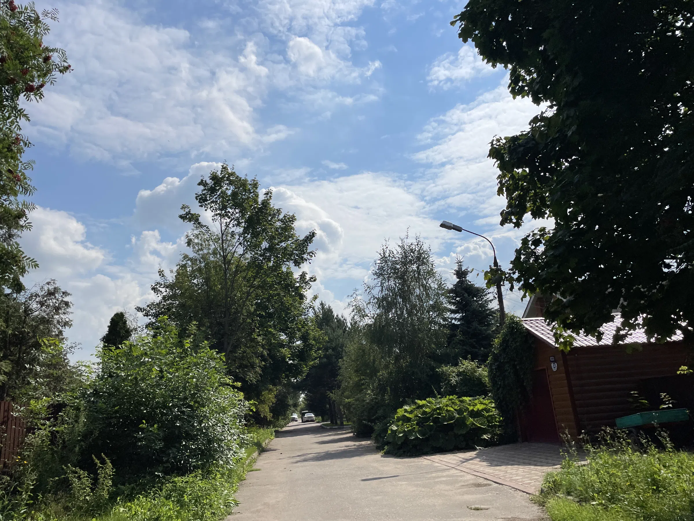 Дачная дорога, фото 14