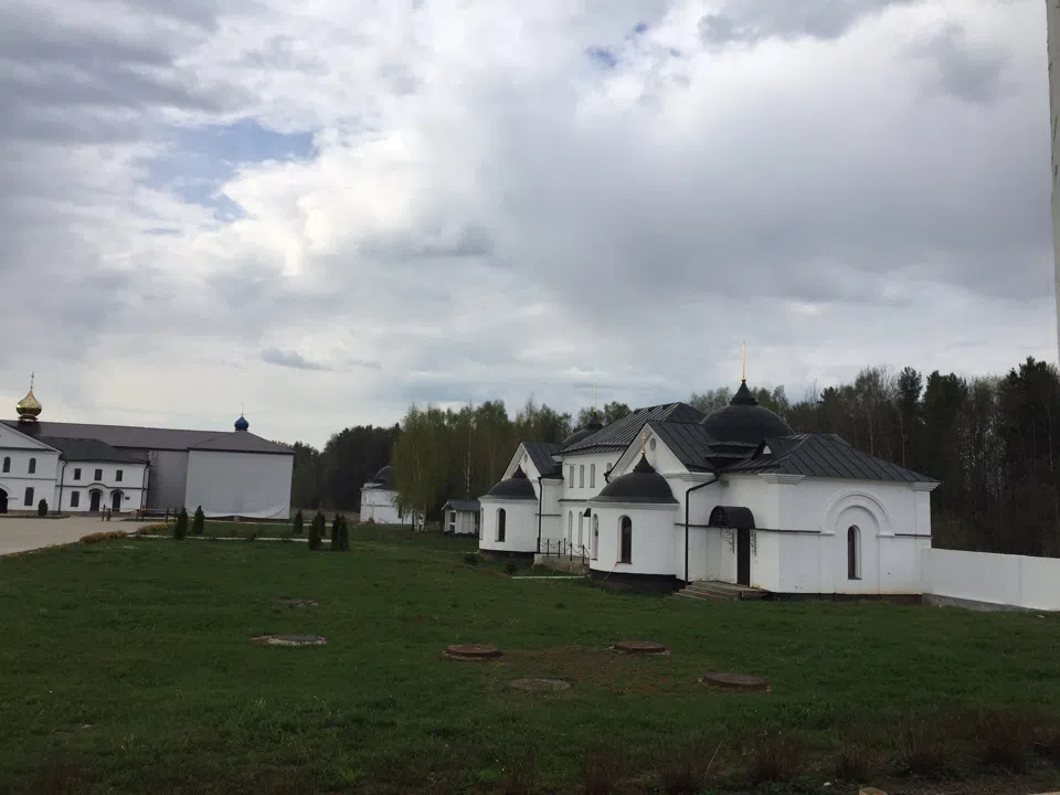 Белый монастырь в поле, фото 2