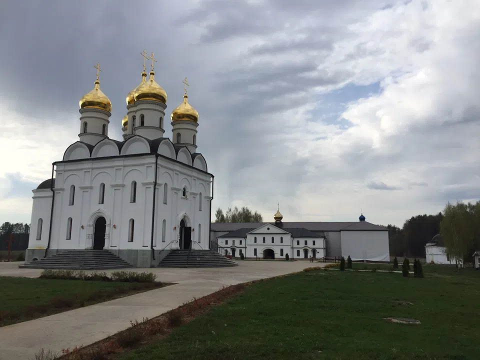 Белый монастырь в поле, фото 21