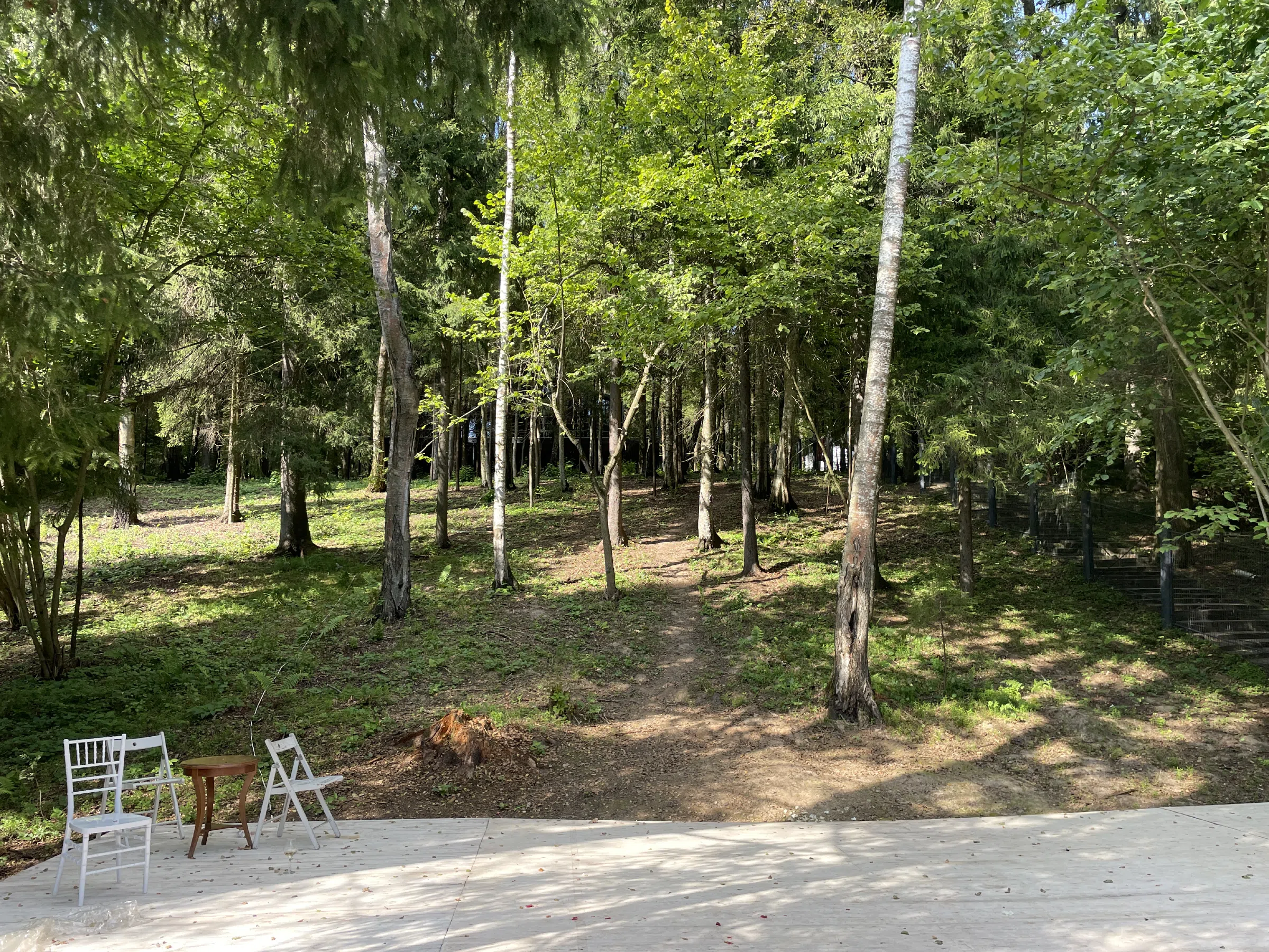 Загородный дом-дача посреди леса, фото 22