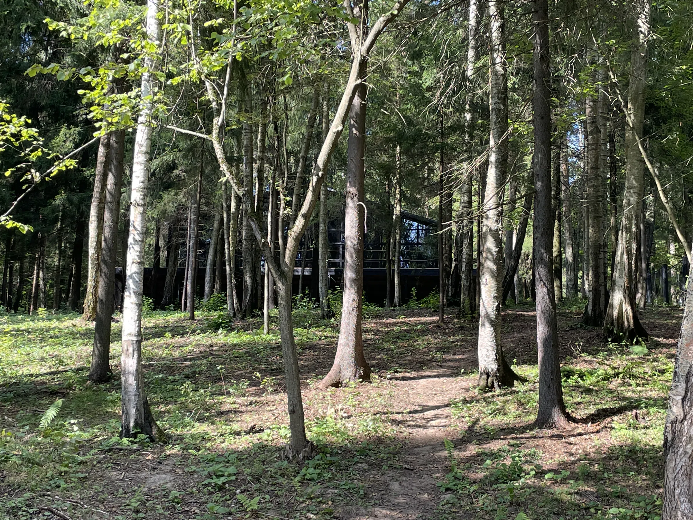 Загородный дом-дача посреди леса, фото 23