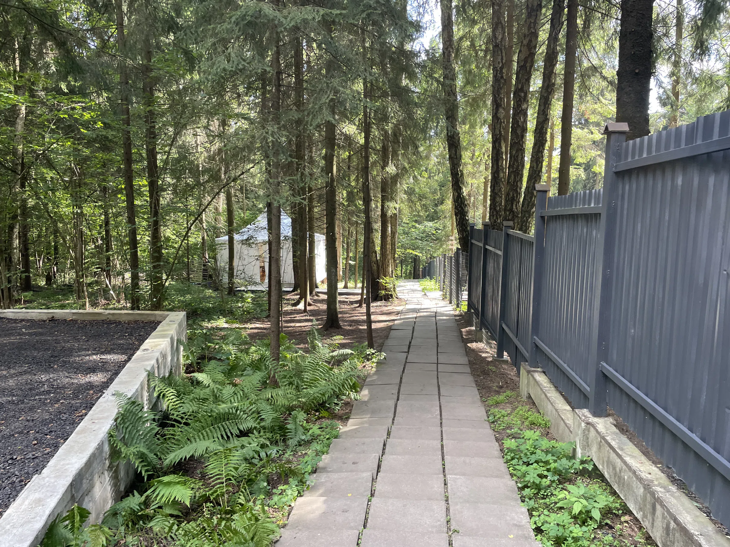 Загородный дом-дача посреди леса, фото 4