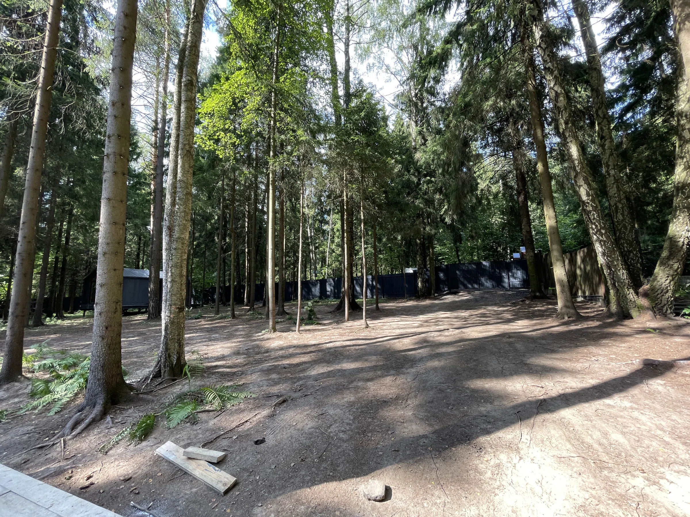 Загородный дом-дача посреди леса, фото 6