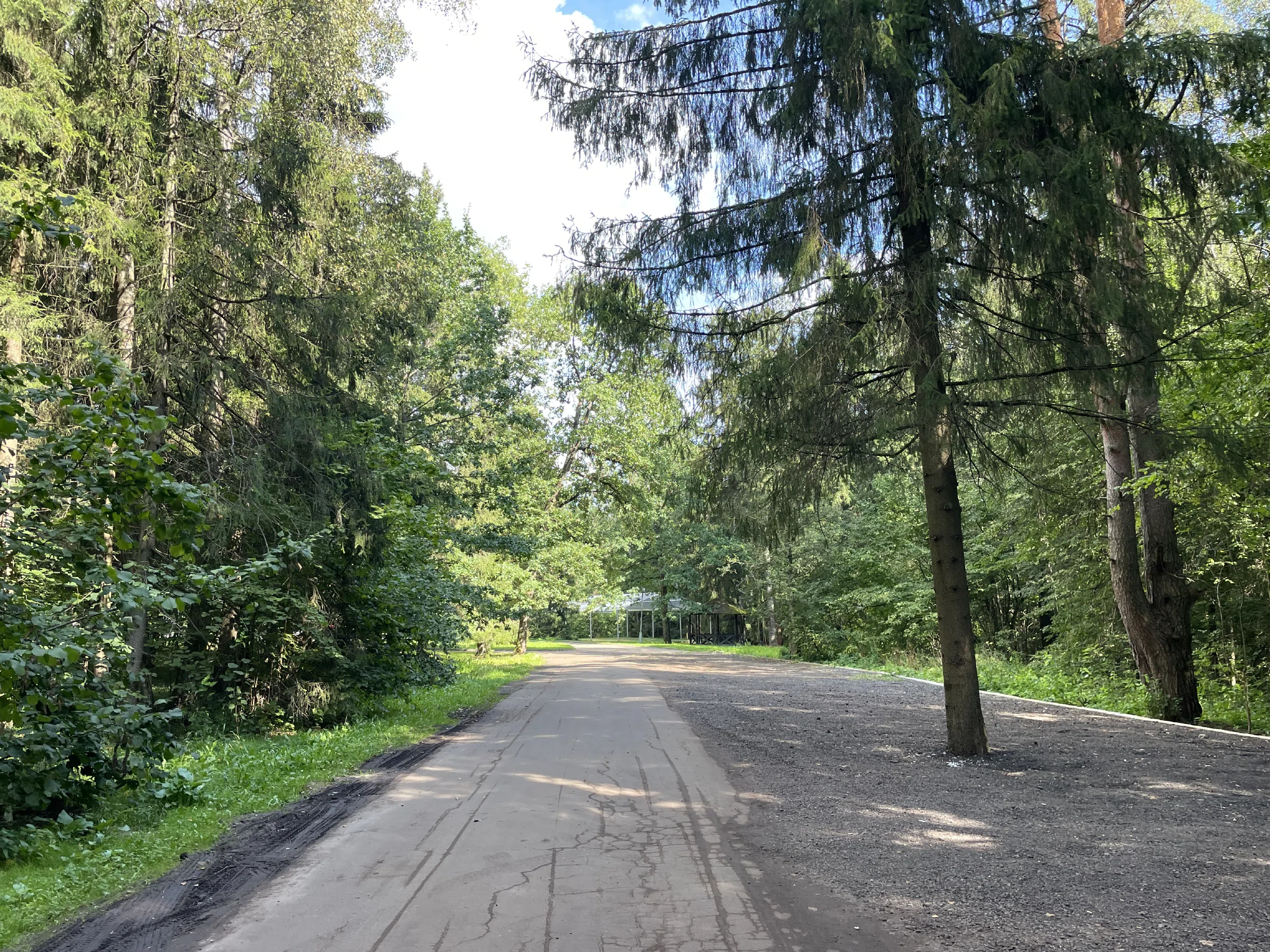 Загородный дом-дача посреди леса, фото 3
