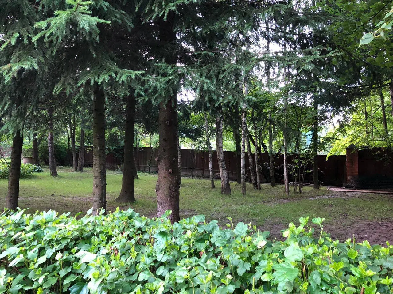 Дача с Белым Камином, фото 12