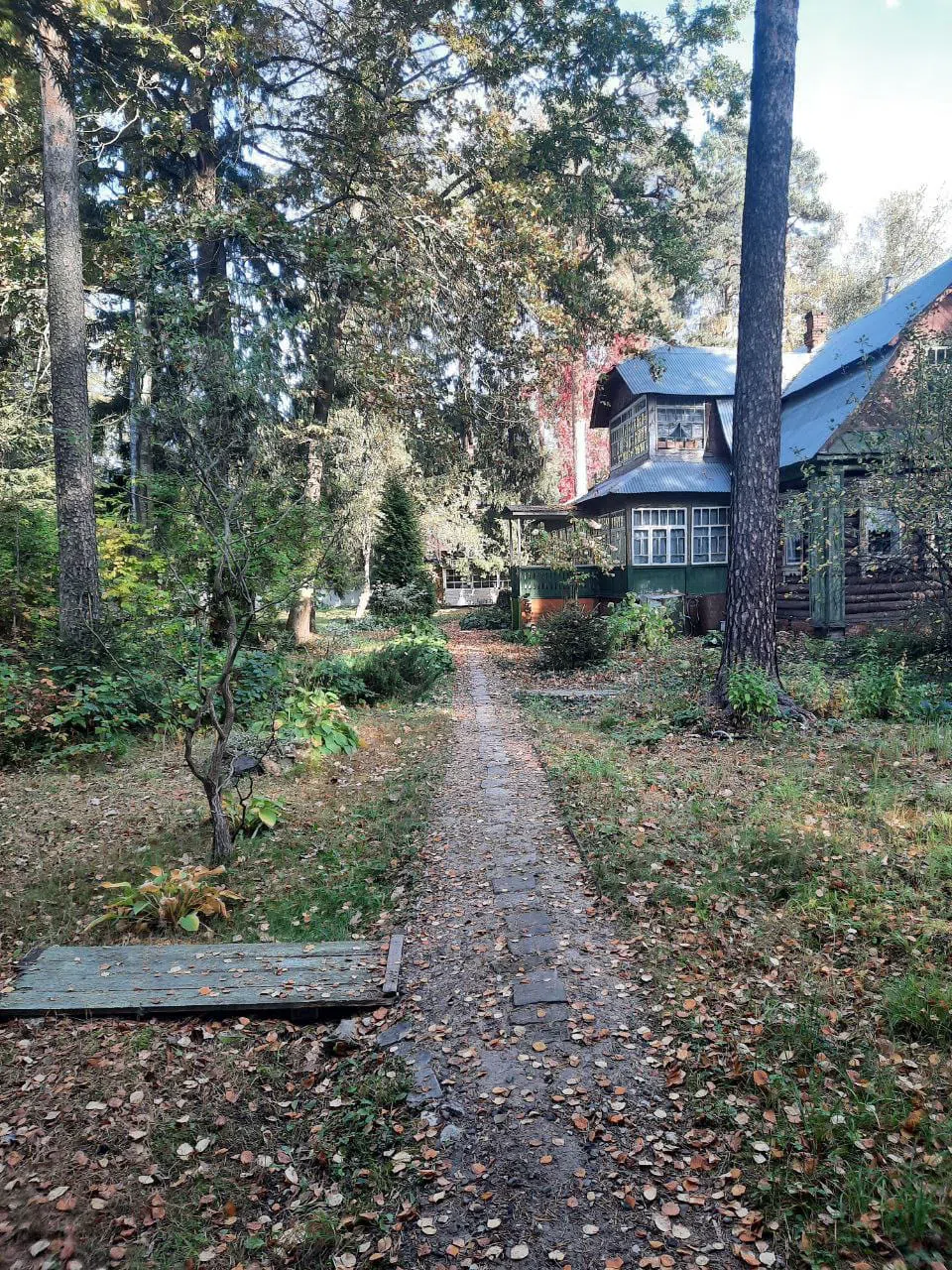 Дача с синим потолком, фото 17